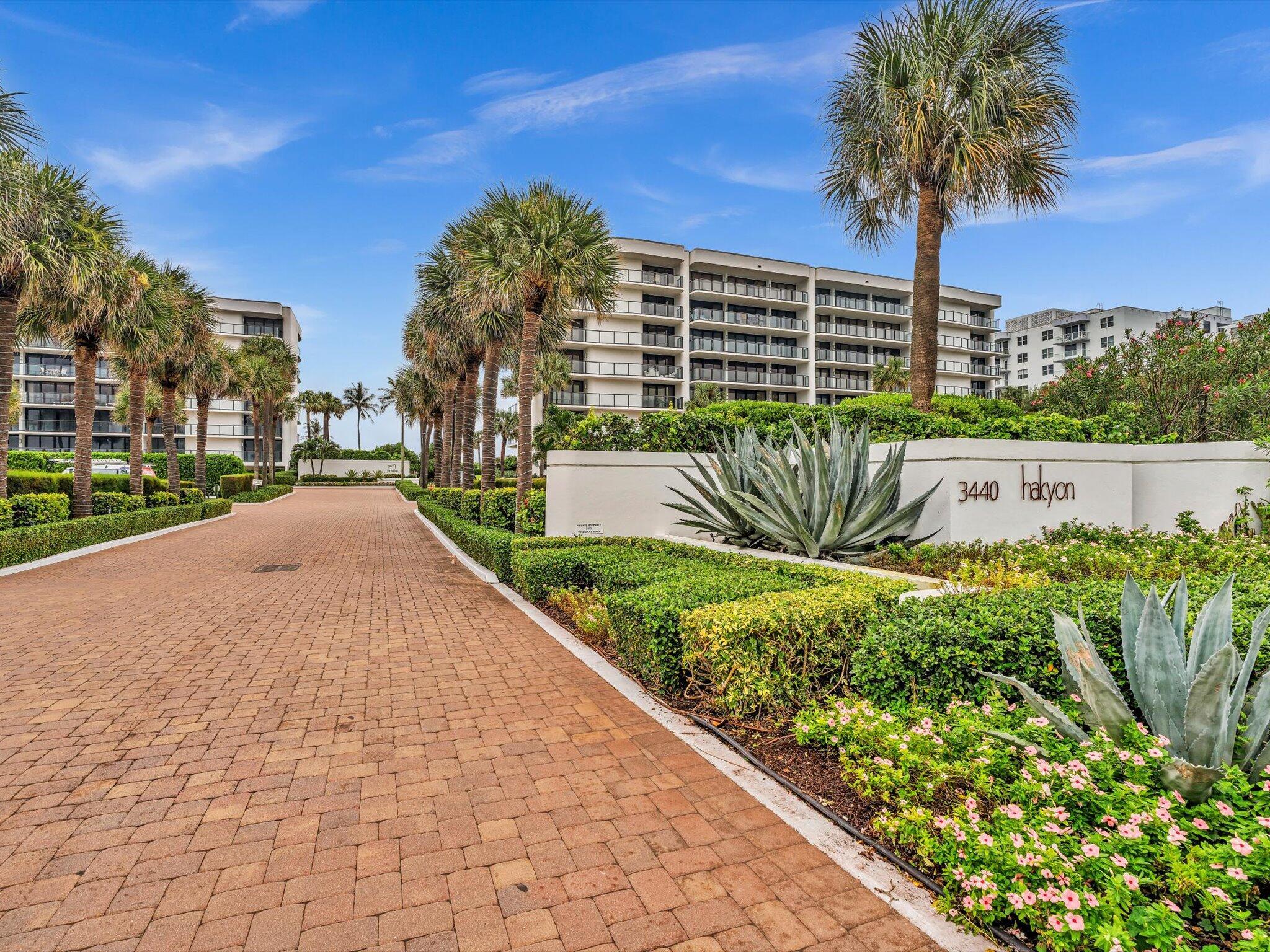 Halcyon Of Palm Beach