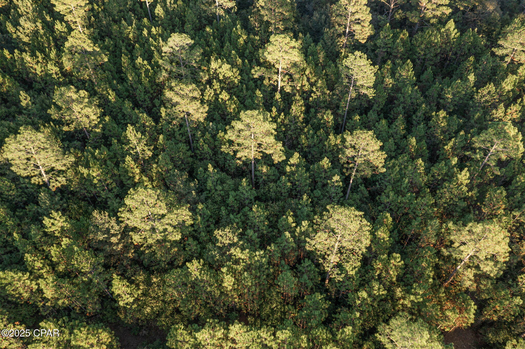 Qhmmnncqkoeb6qvbjrb3dp47vch9xnzvd5scflpdnu0