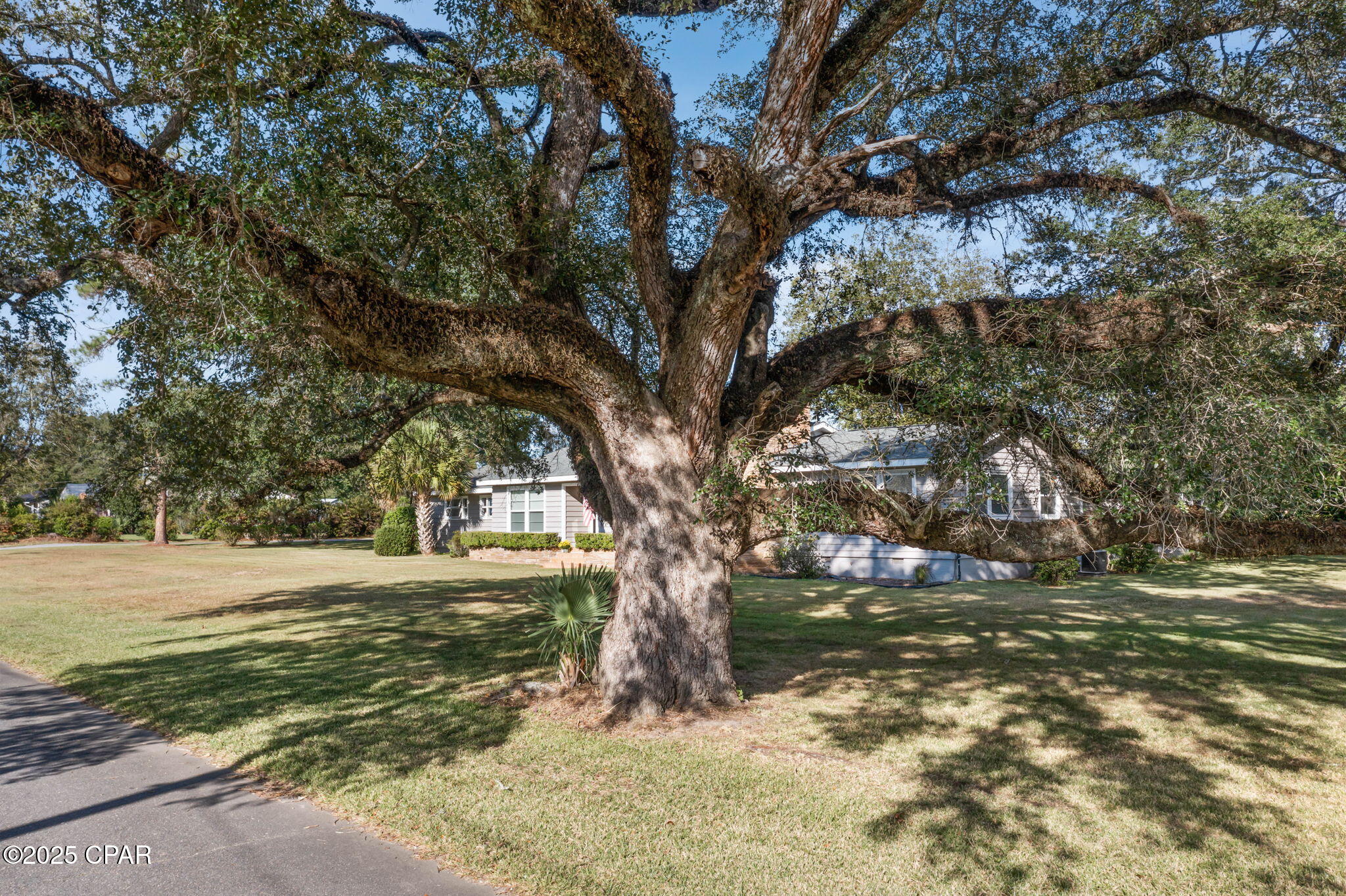 F1ovo7a F947eq7l8ms64 Wgedul23xoc0rc1 J_hwo