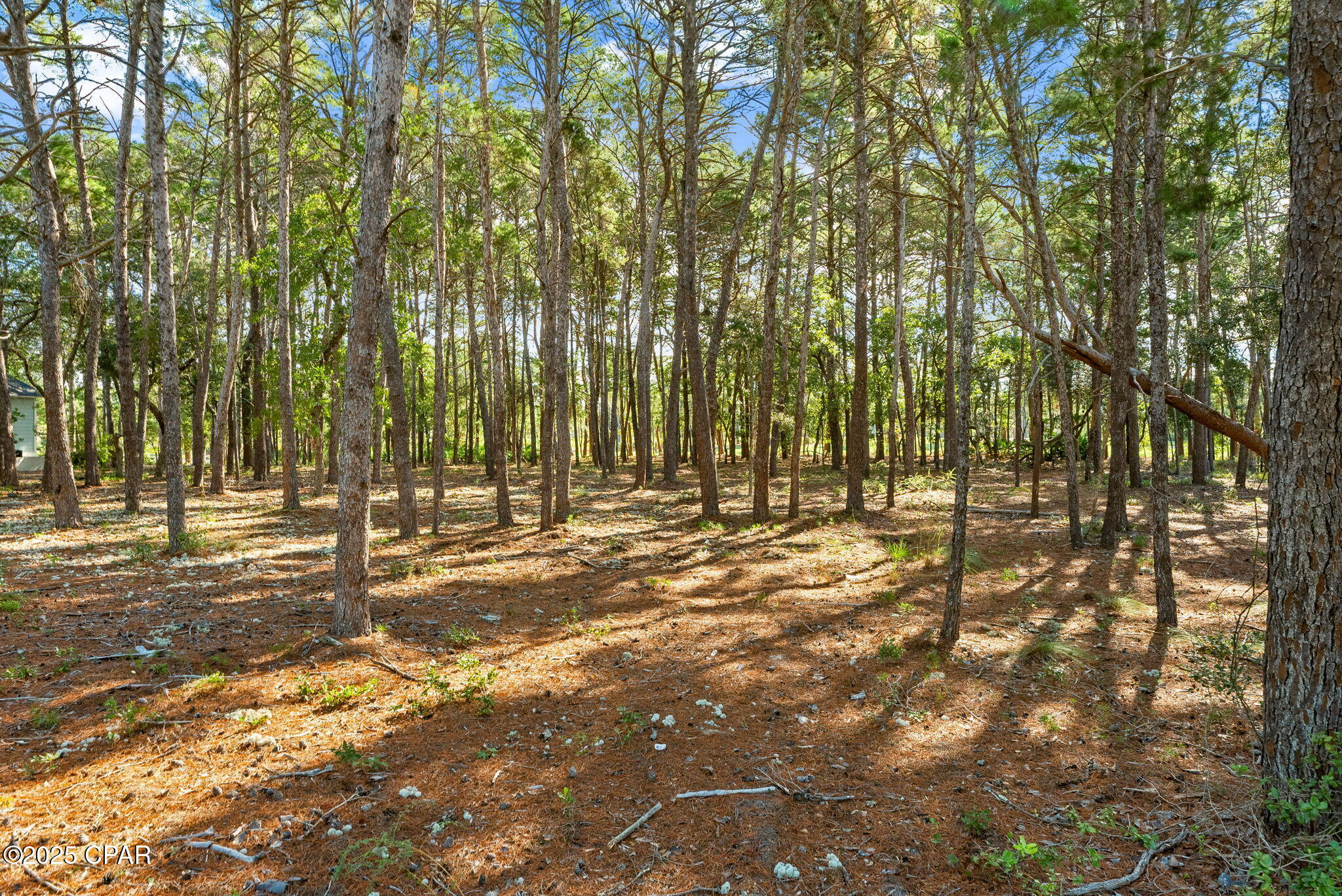 Pnyz4eyi0yucad6qdpdblcemetglmkqld1ffckkpmpo