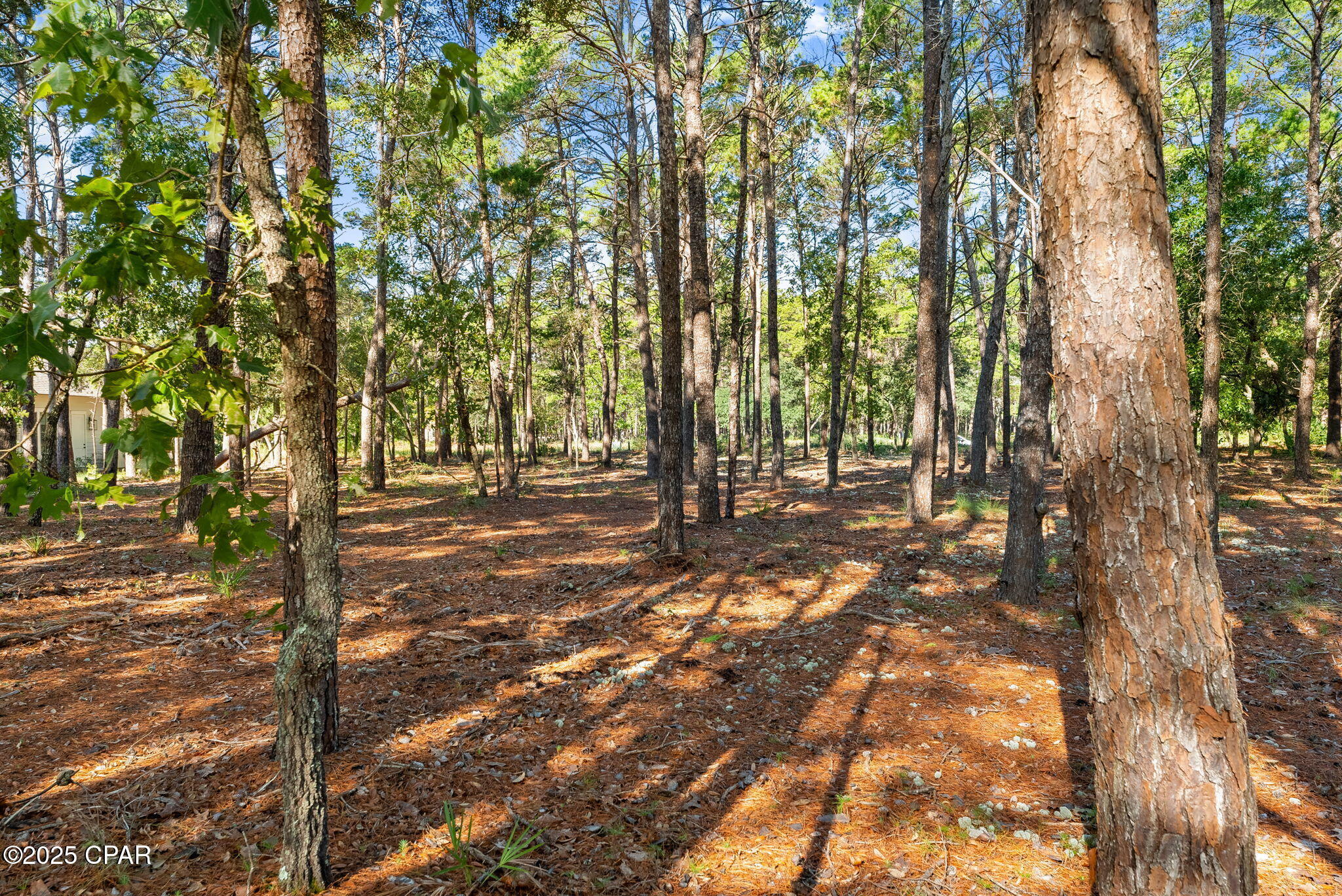 0mlvgk6_tjormtuspjjlh1qi2e6fep7iumejj7m_jbk