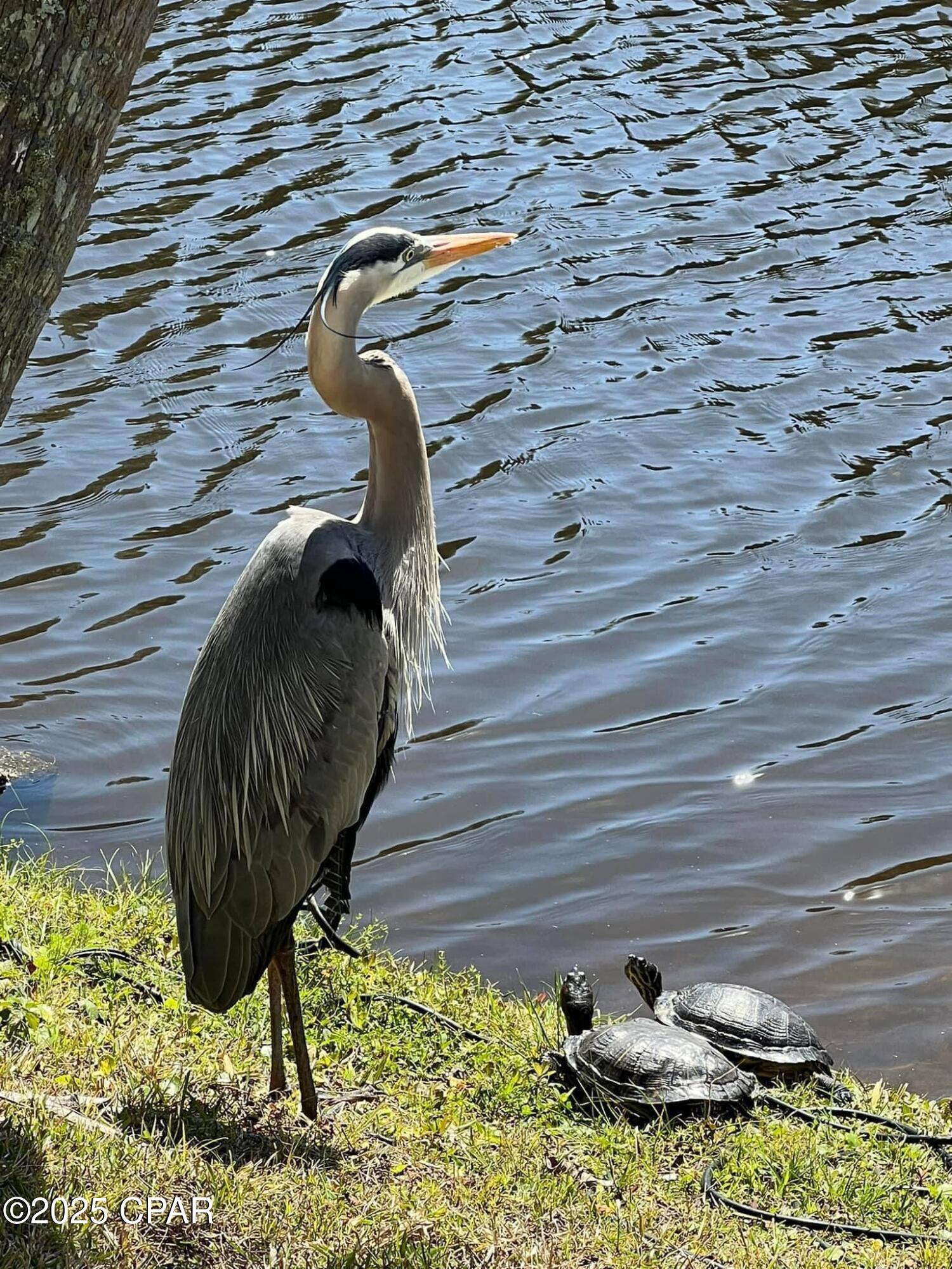 R6hsuqfmed X_in3e9wis6 4vs5rs4ke65iywrbyfdy