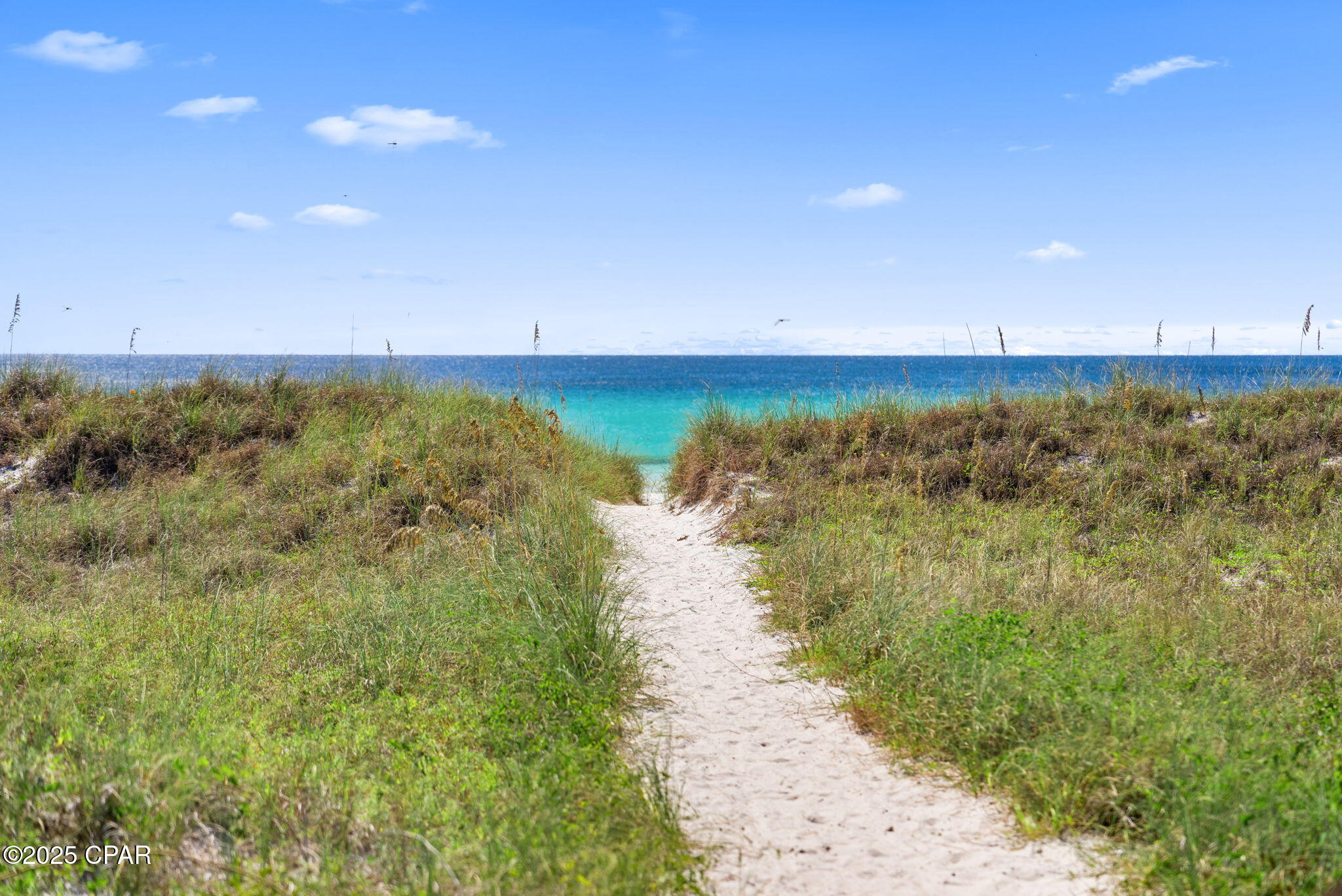 _3xf1tso1y0qpdwq2jky759rknmj4ykumtnp_vnctxm