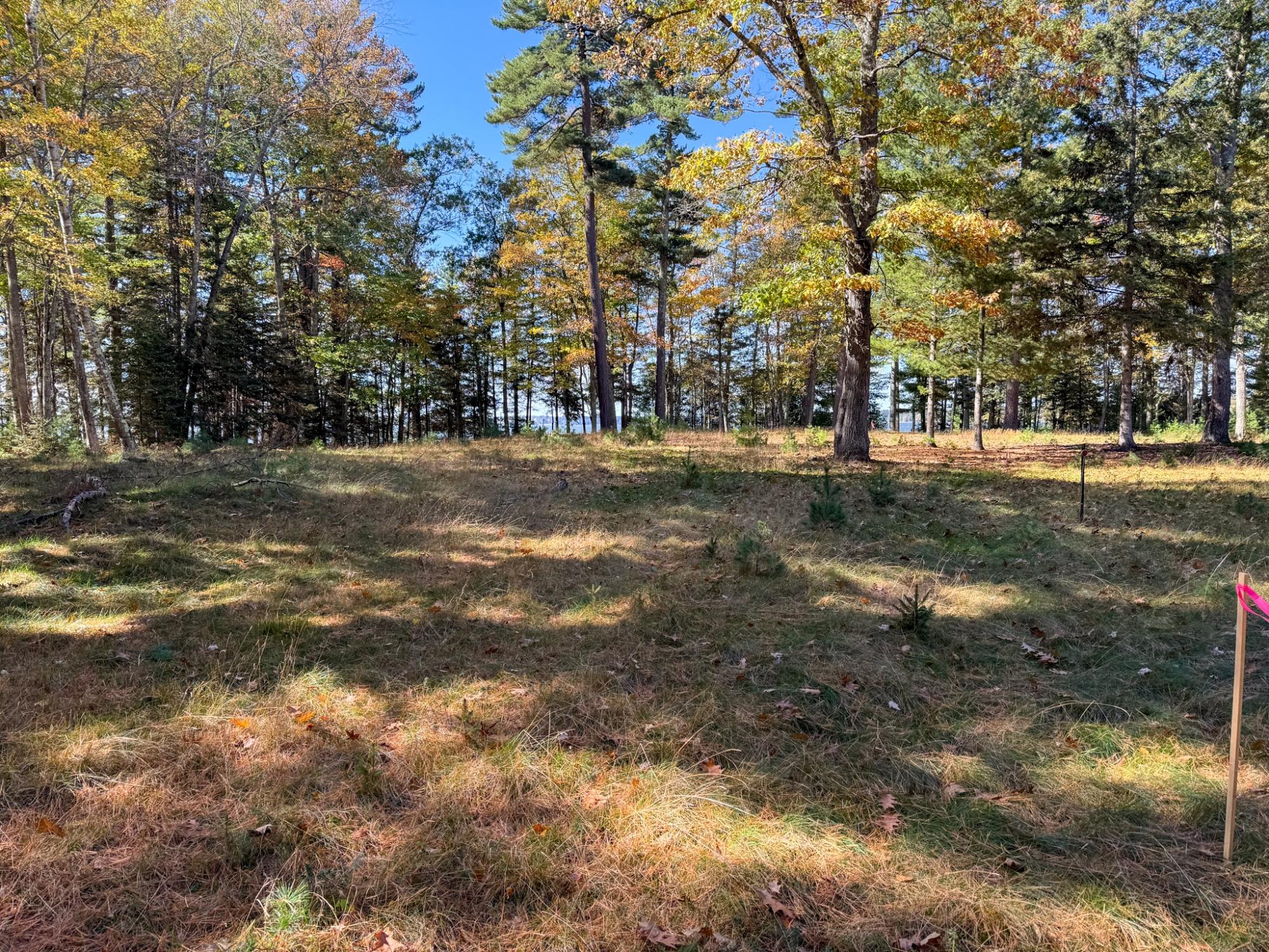 Big St. Germain Property Lot 2 Bear Run Ln Photo 14