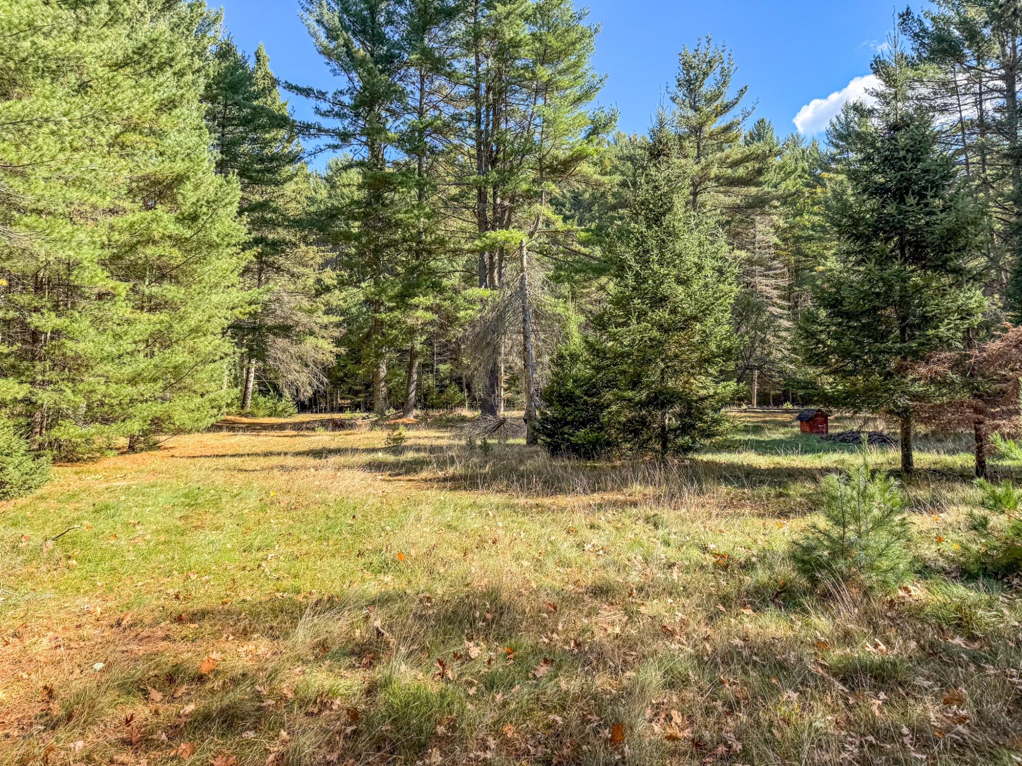 Big St. Germain Property Lot 2 Bear Run Ln Photo 7