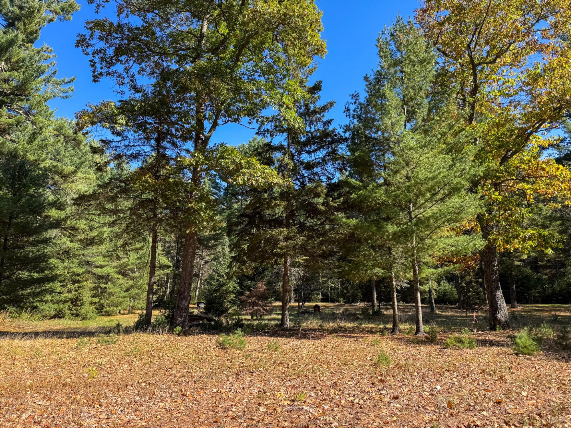 Big St. Germain Property Lot 1 Bear Run Ln Photo 12