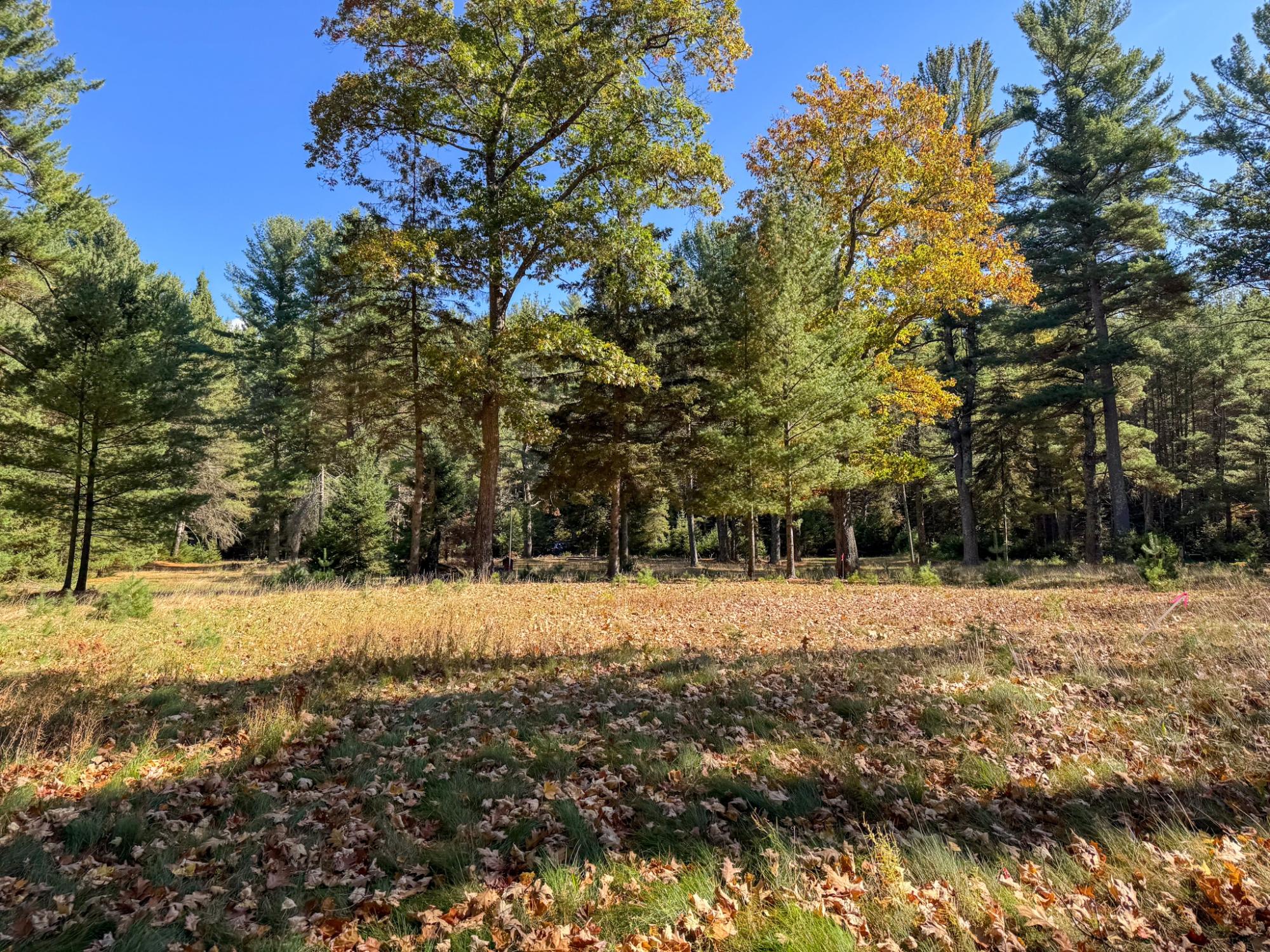 Big St. Germain Property Lot 1 Bear Run Ln Photo 15