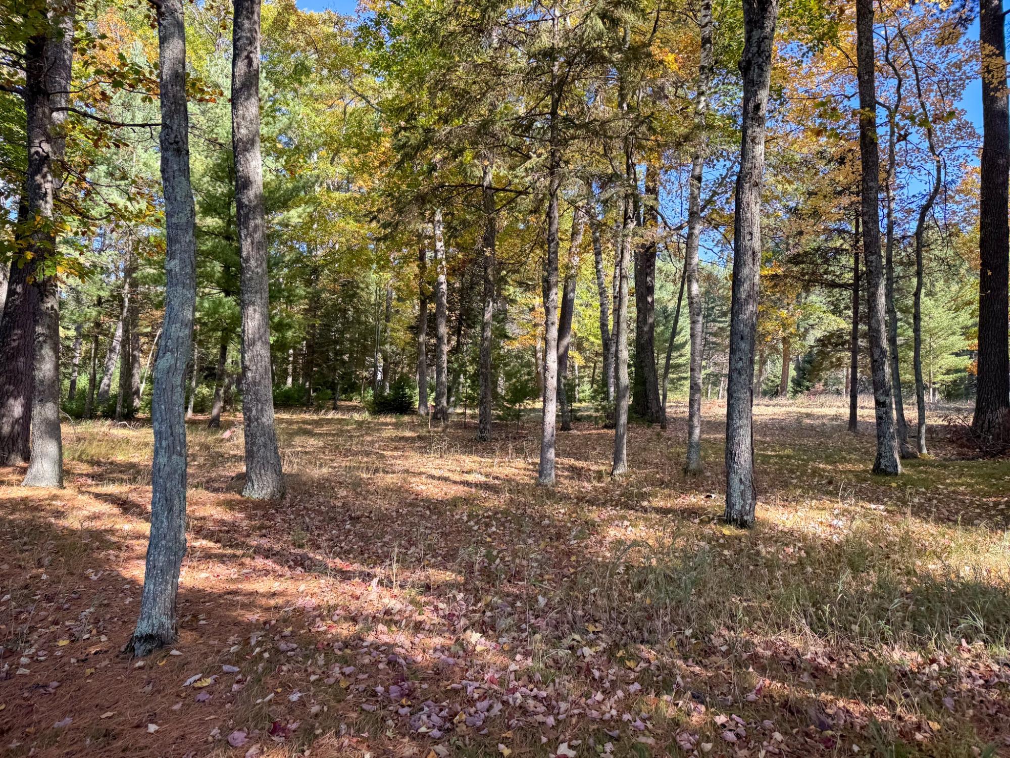 Big St. Germain Property Lot 1 Bear Run Ln Photo 16