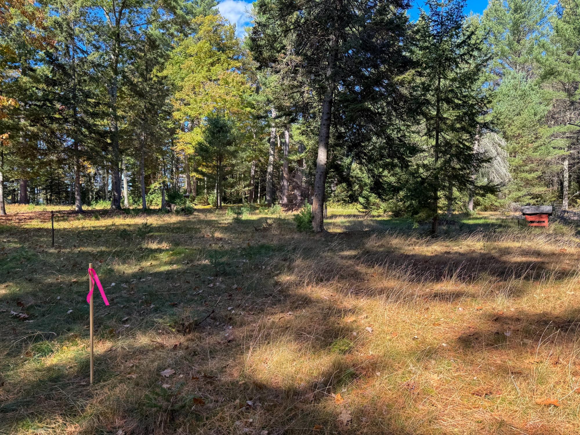 Big St. Germain Property Lot 1 Bear Run Ln Photo 5