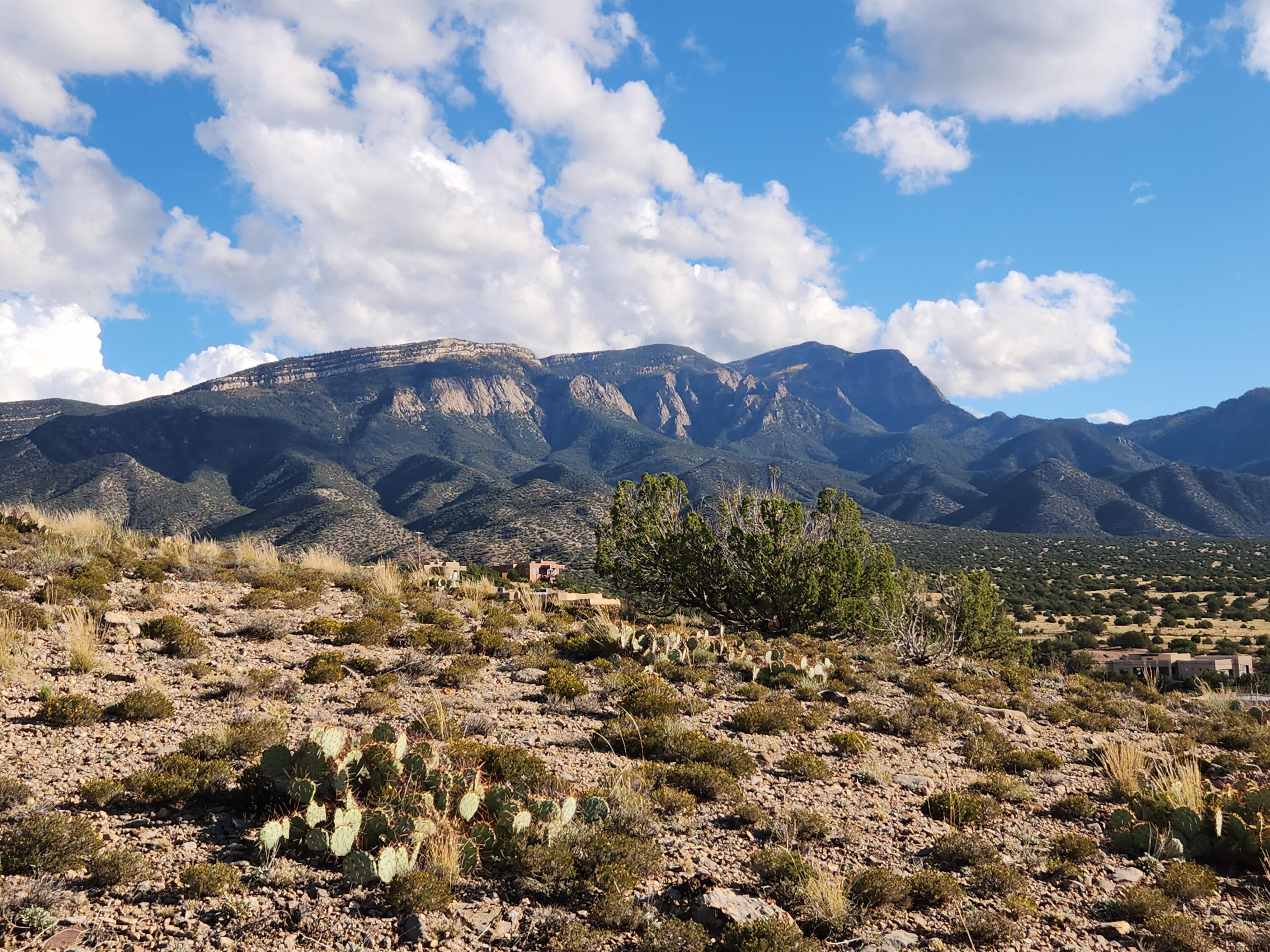 CALLE DEL SOL, Placitas