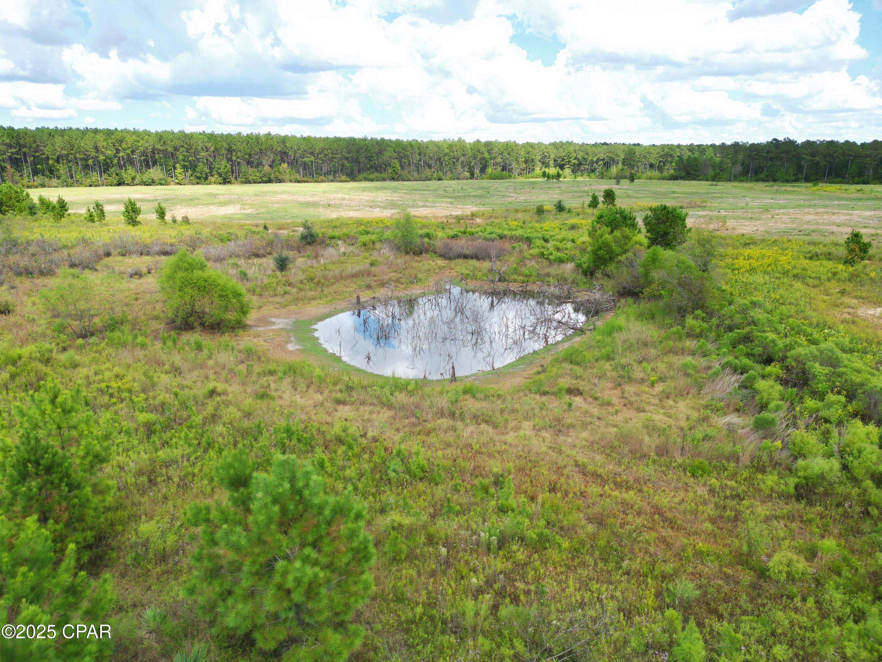 Image 15 For 000 River Road