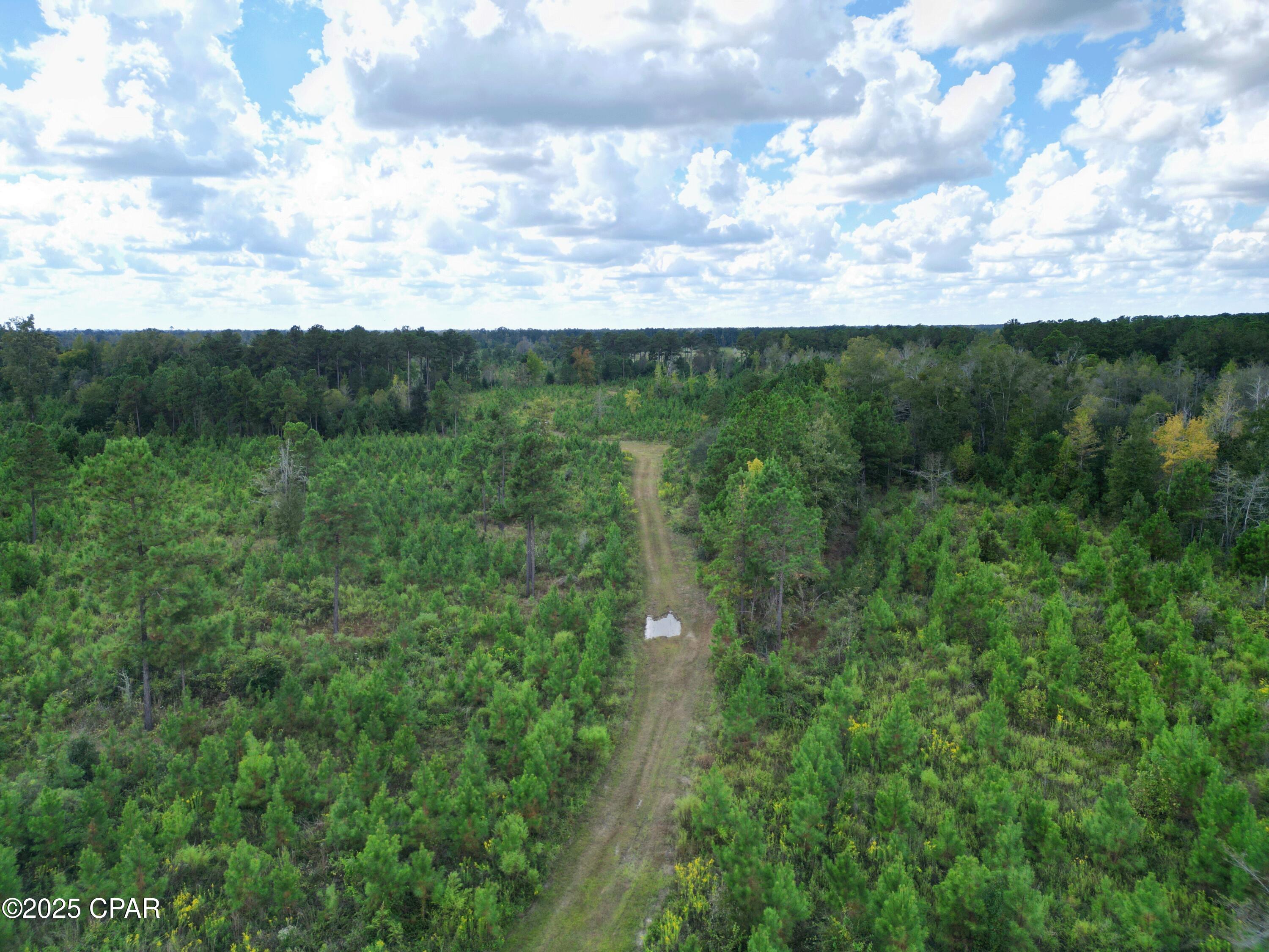 Image 6 For 000 River Road