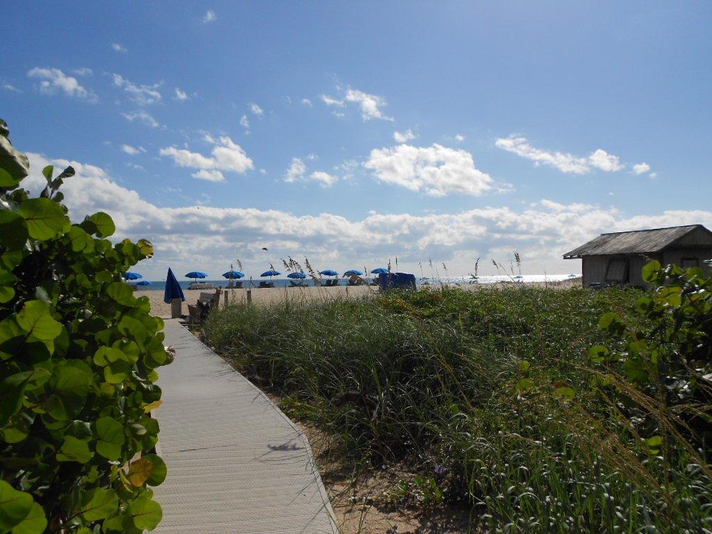 Phoenix Towers Condo