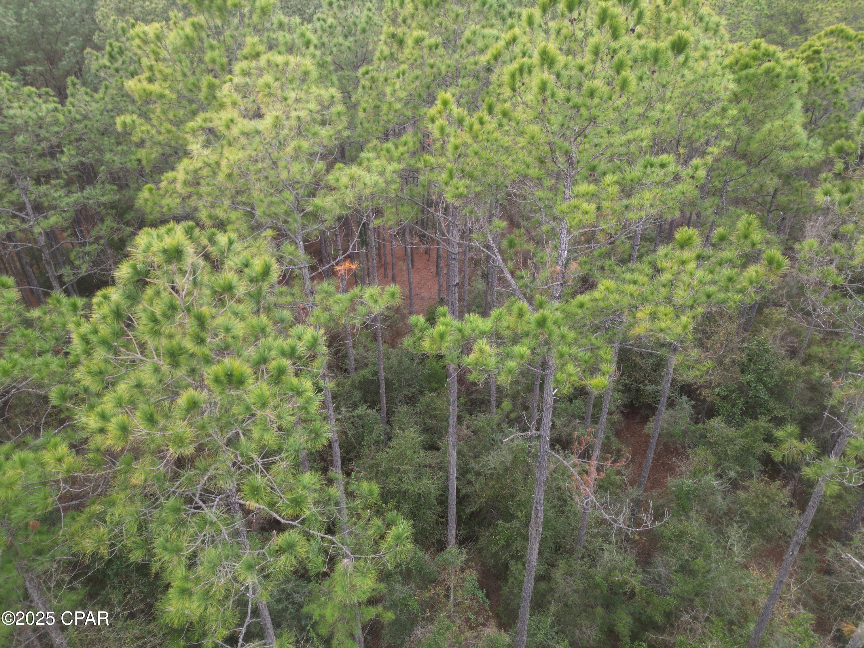 F1pmd_rdsljxvo9cbx_2oehemiwuashkxh_iamcirbu