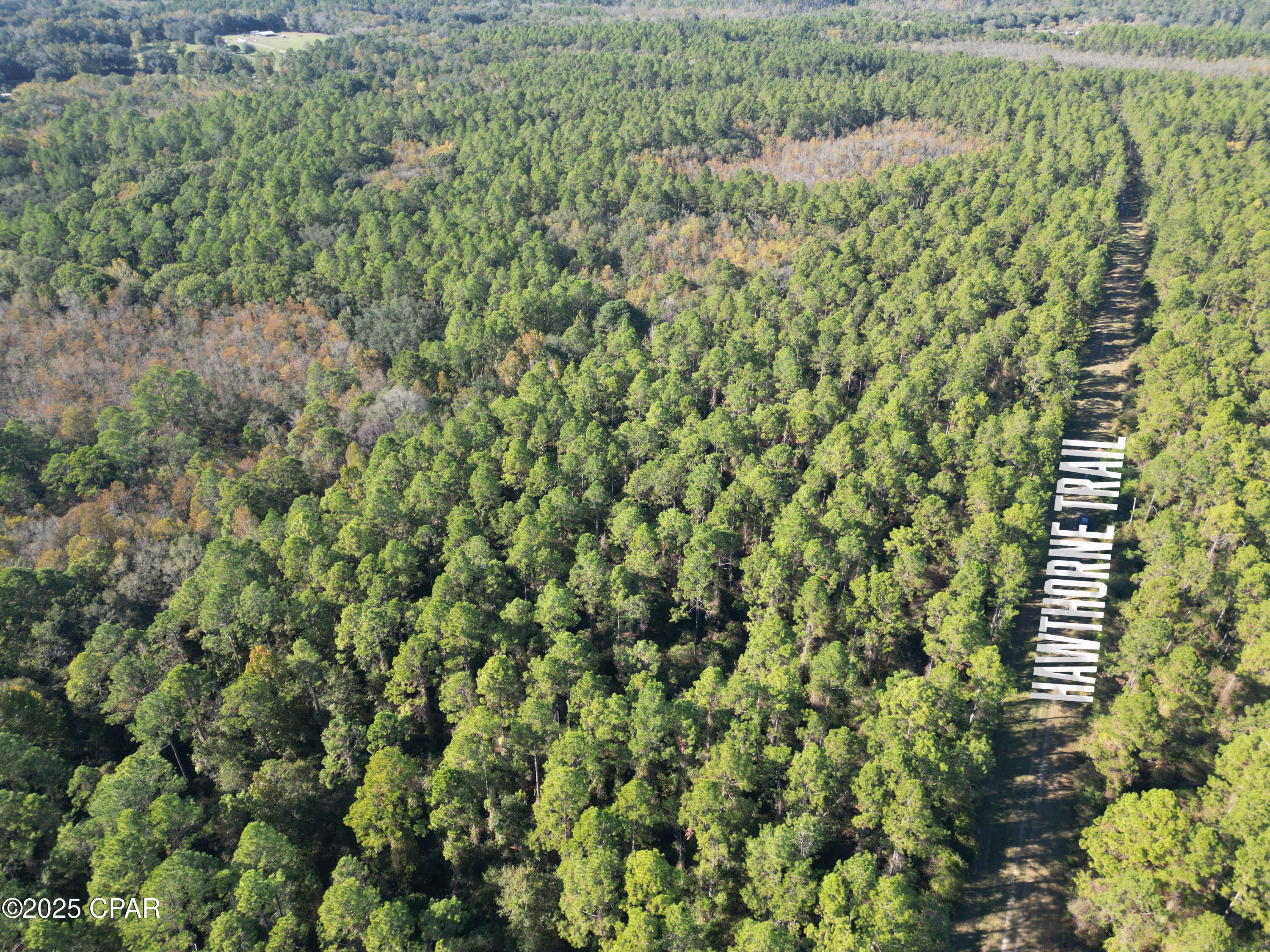 Tahf Ew02a Kcaqnon8awp3dapmbwqxfskrhwkivcmk