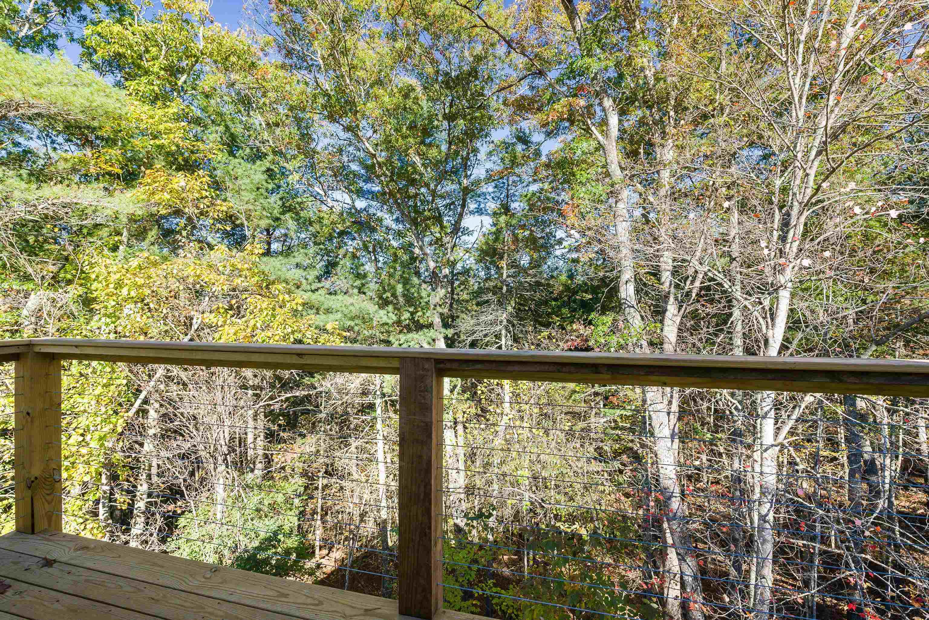 65 Mountain Deer Run