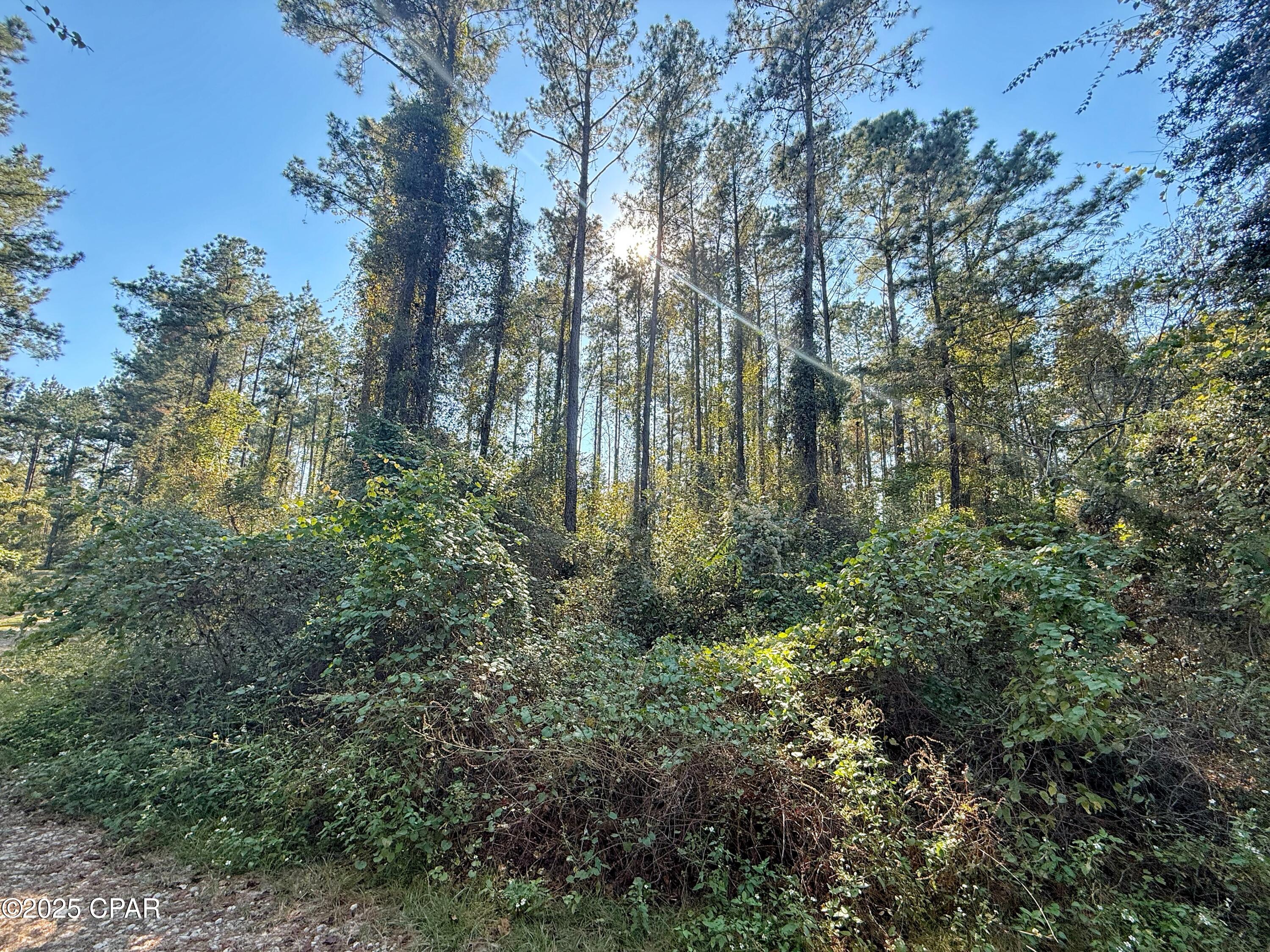 X6nviiftfelsppoq_2rn5zjushfdql1ysqjumpozilm