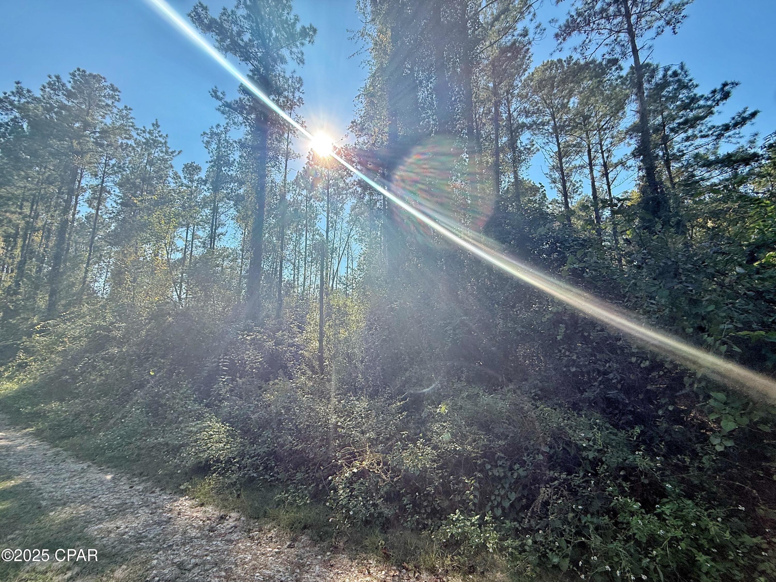 74rj4ihjme84bduhhid29quqih Cdwjkstd_v4wmexk