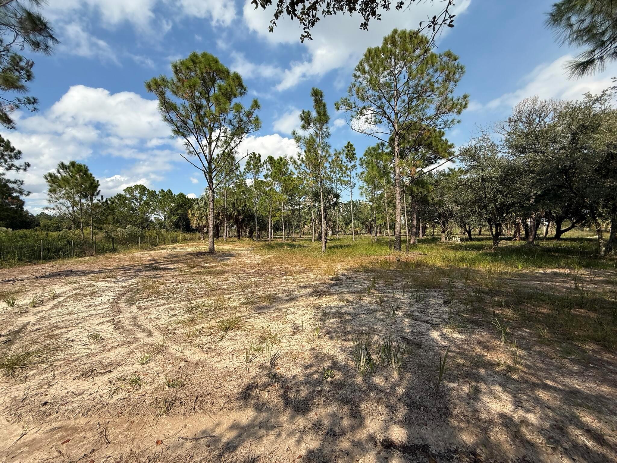 Southern Colonization Com