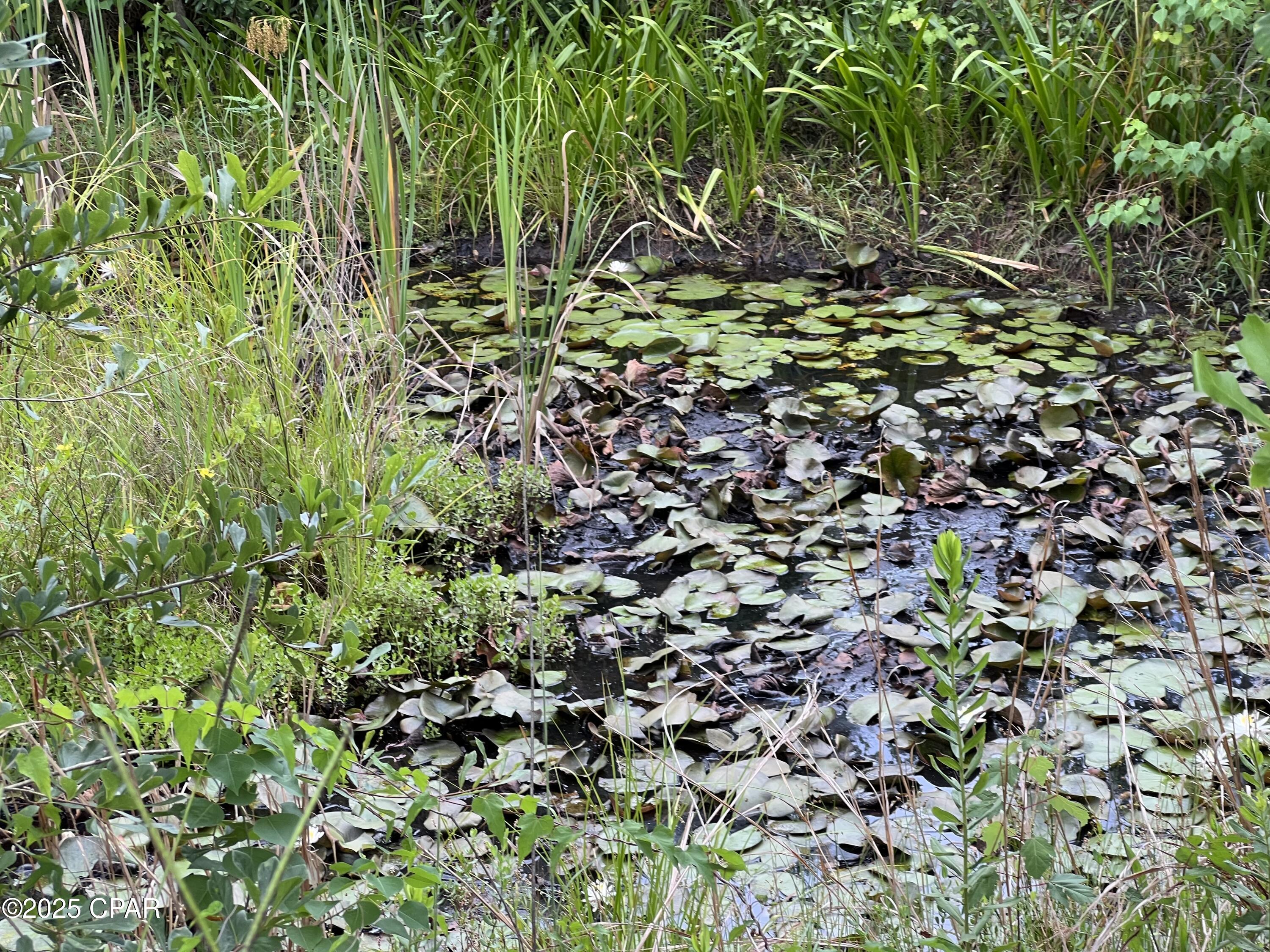 Uvrgrwgvrybddgheeg5zime7zwqf84wkoxtmnhfz4xk