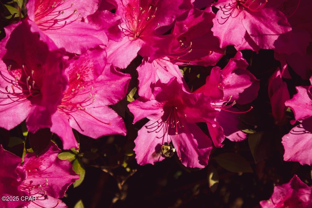 8qdlckk7rfq9msscijhzdn2av_xcqmoqvata9qguily