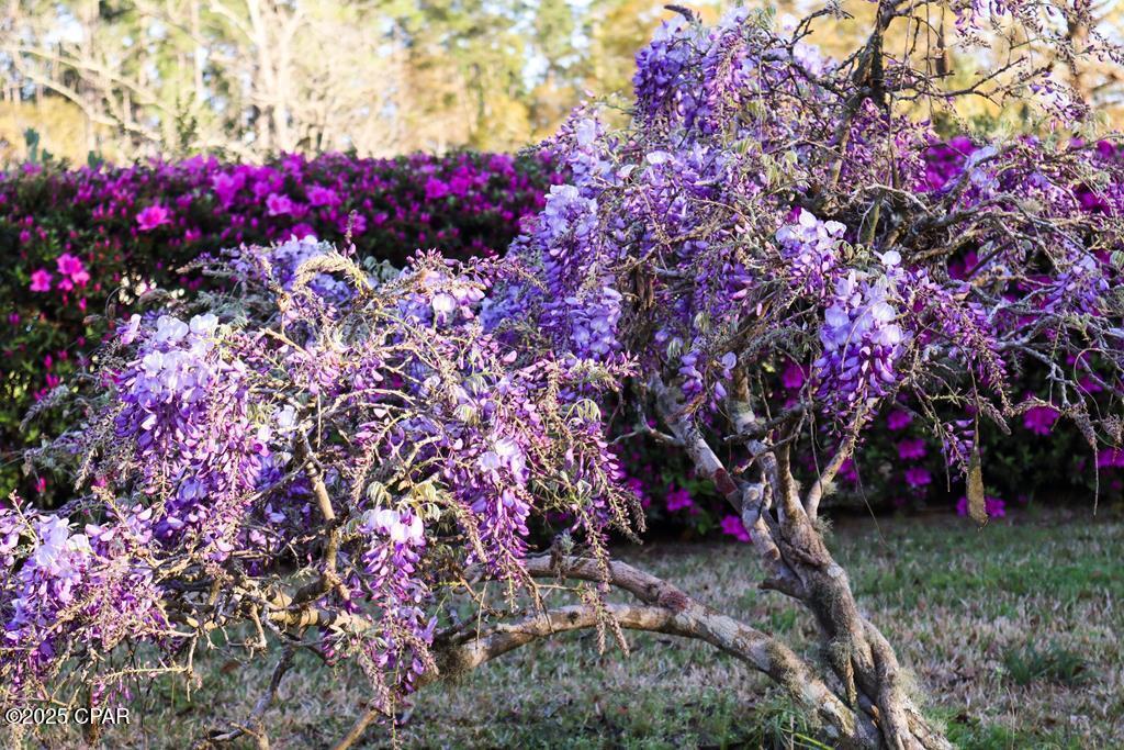 Z8mdykji4mqmo91zzvzjb_rwy6z1p1i9ze3fnt2tmeu