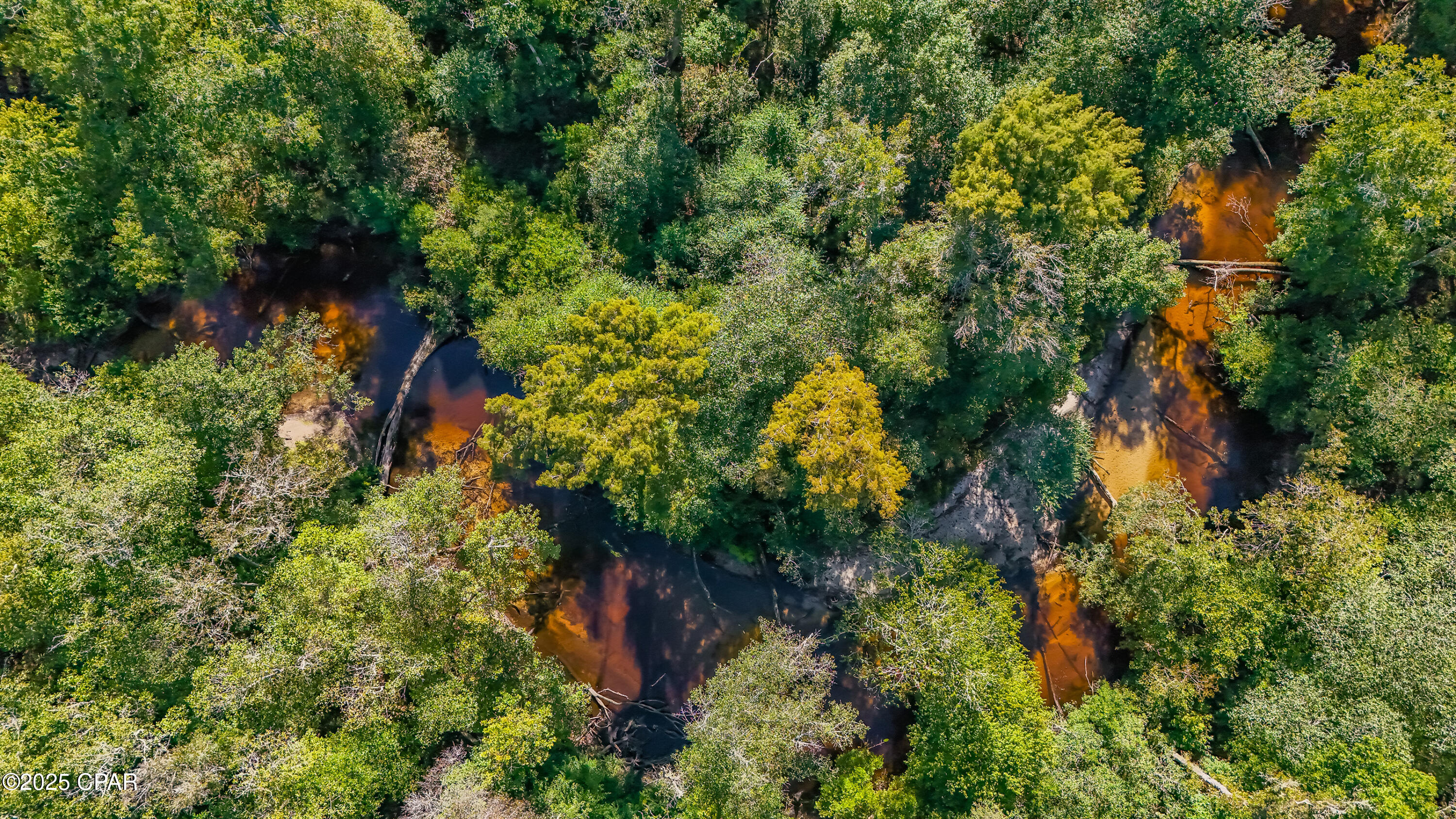 I_d1mo1kpvin_t2glkppu2jelizjqxpqln9tvpgf4sw