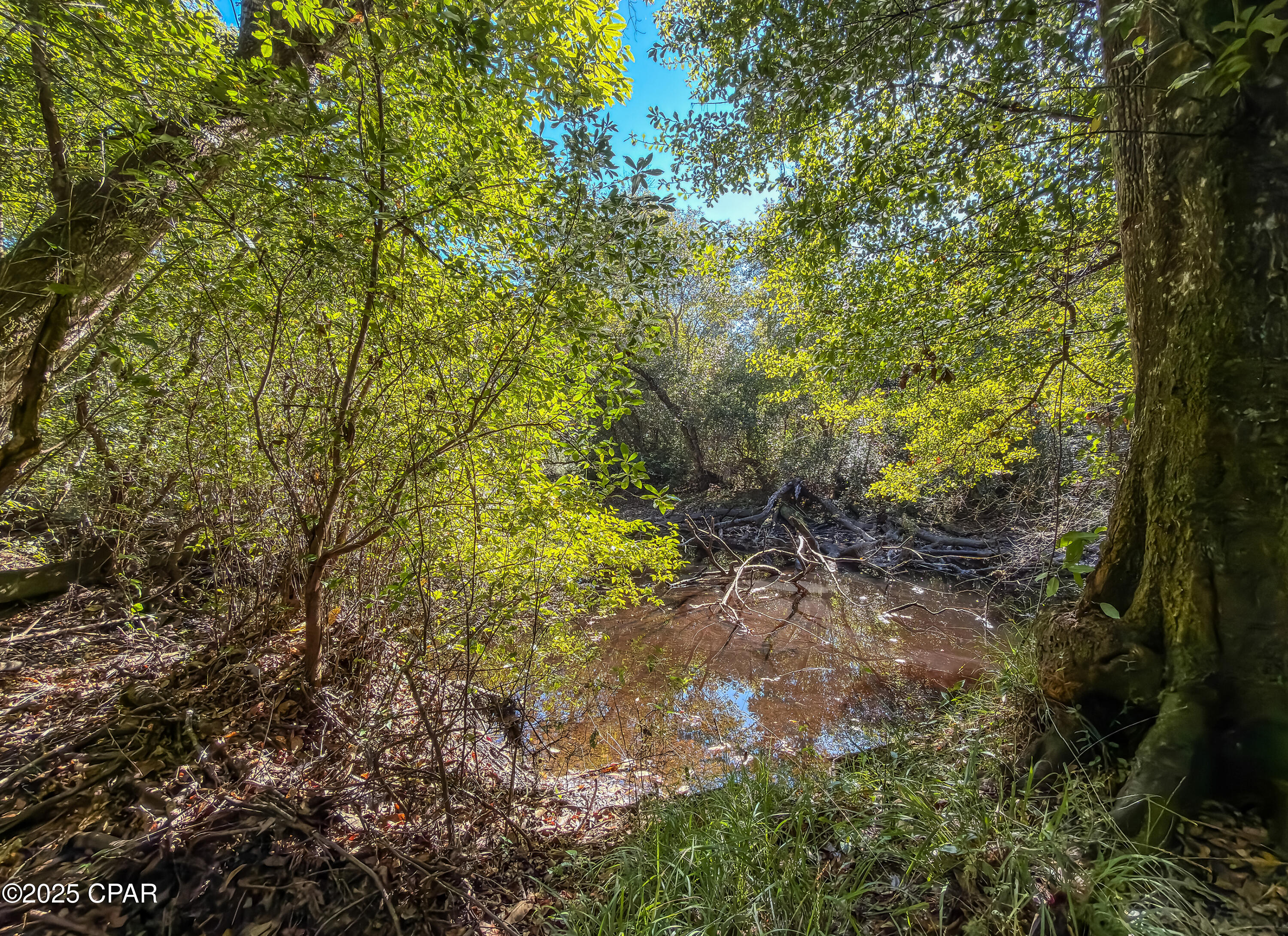 Zw7 Ztoults09wfme_eozipa3rglgfu0hidxwiy3bvm