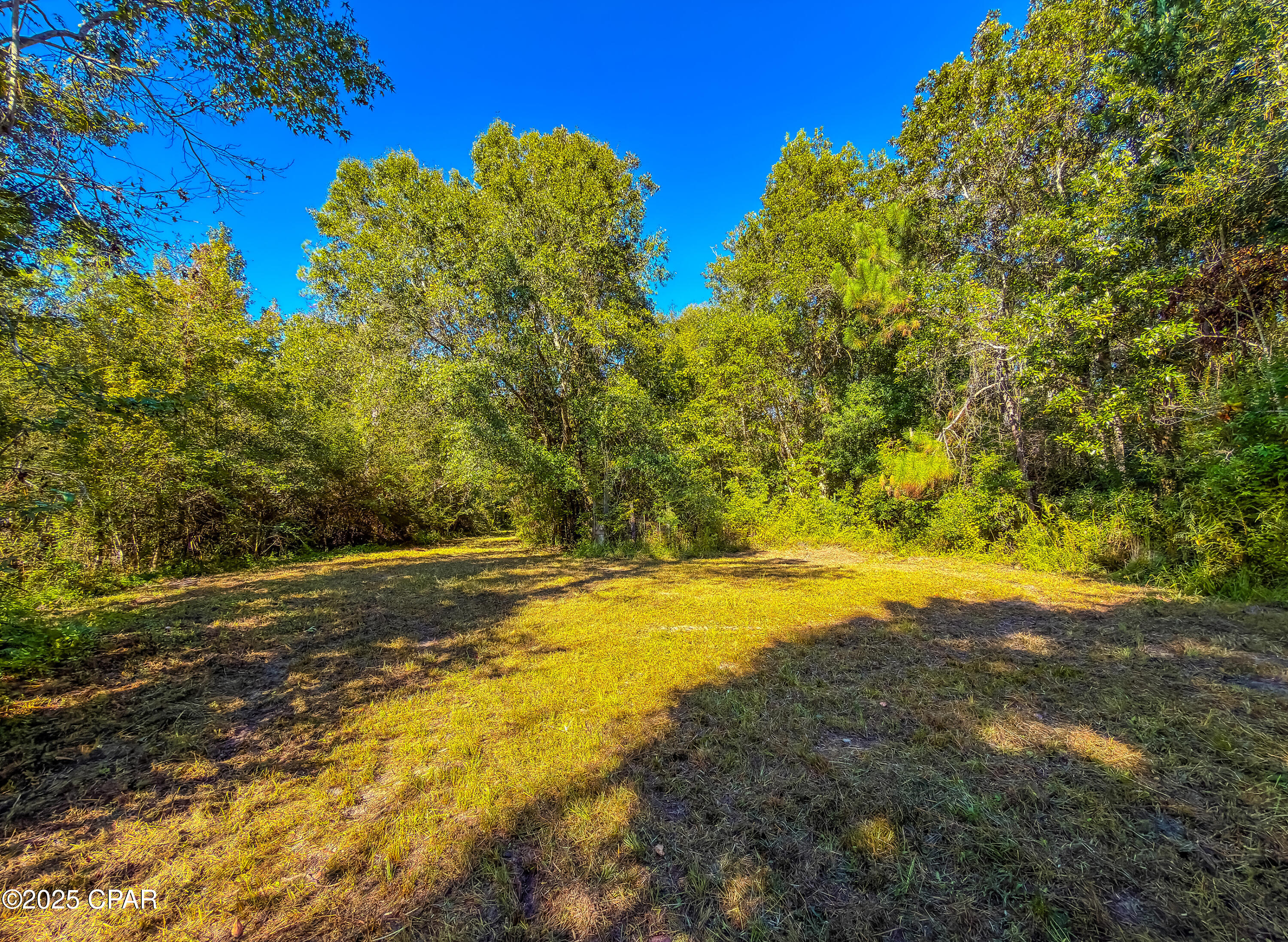 Bvstnc5k_xrm89gkznfgzgojasiicoadcv4yzmzoveg