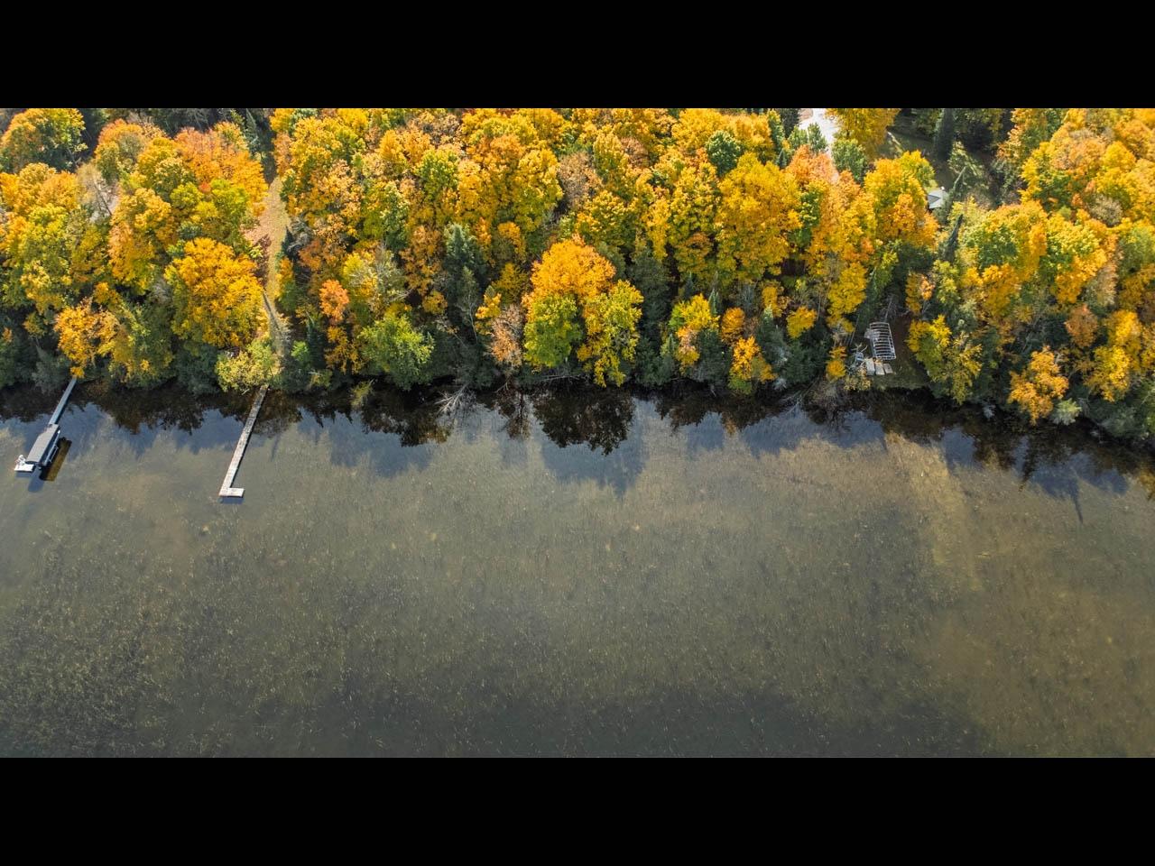 Harris Lake lot picture