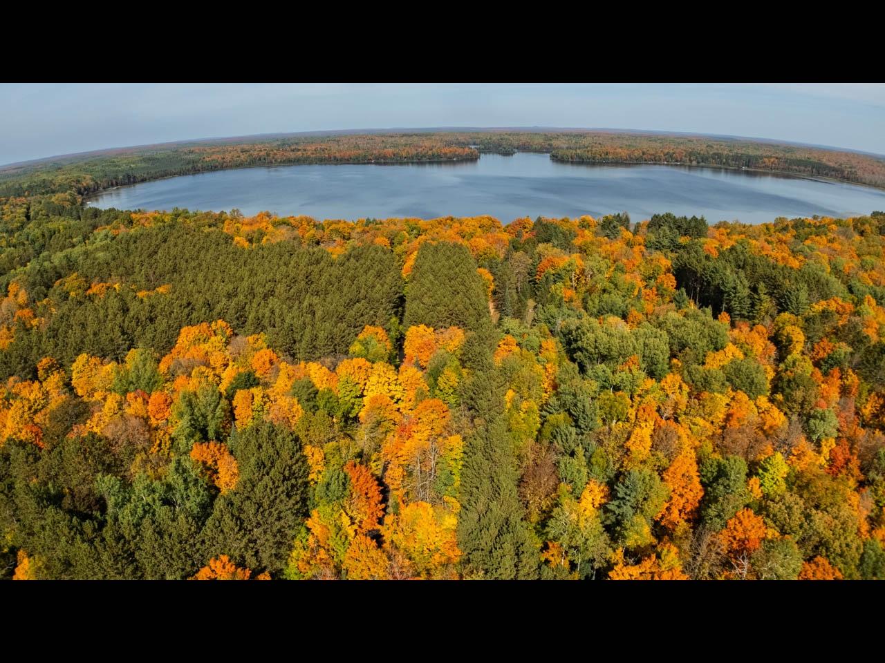 Harris Lake Property ON W Harris Lake Rd Photo 6
