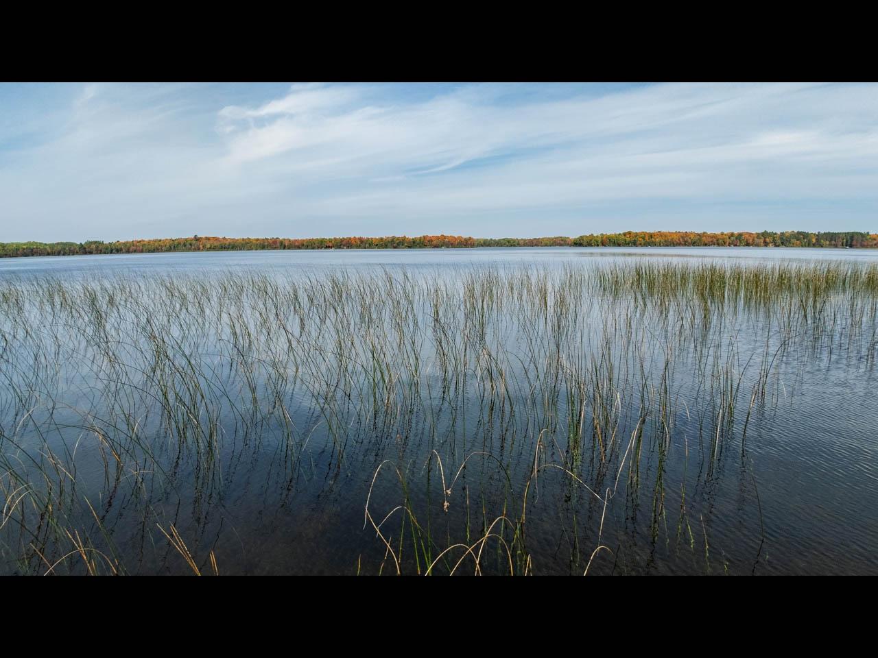 Harris Lake Property ON W Harris Lake Rd Photo 7