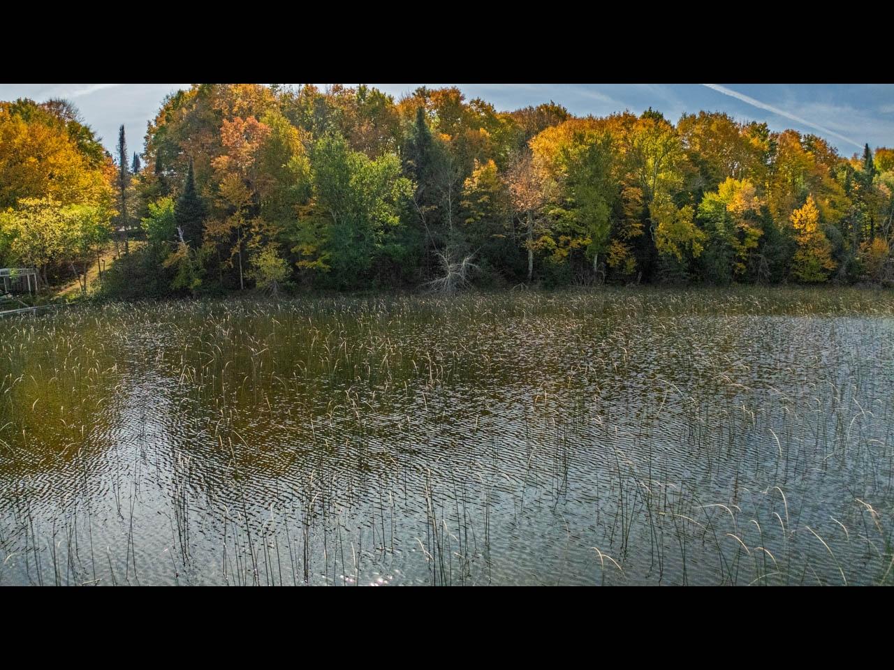 Harris Lake Property ON W Harris Lake Rd Photo 8