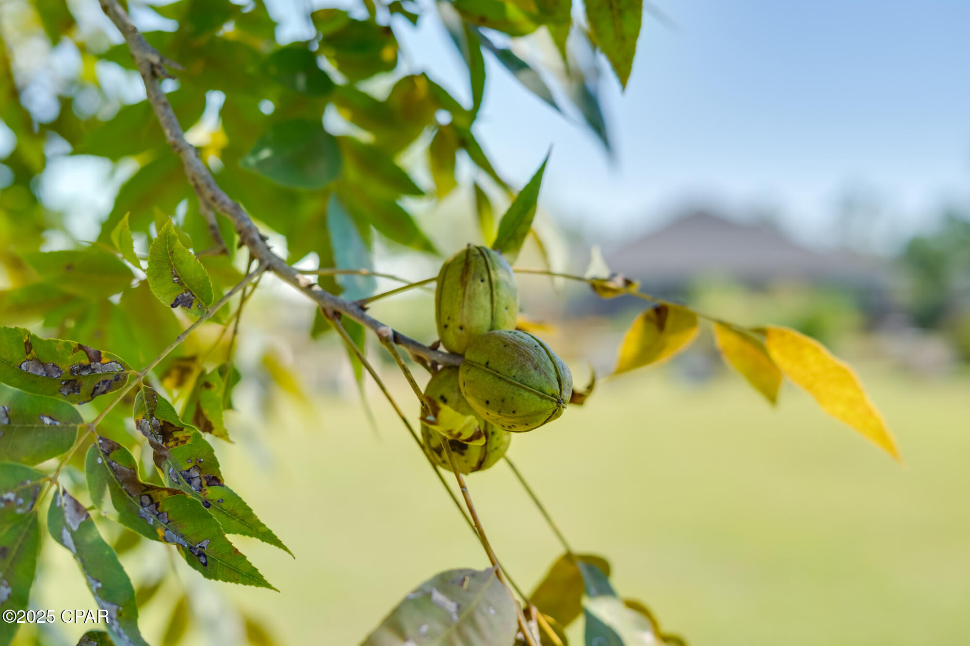 S46kcg_peymn80agy8fp127s8yhpzo2pkmlulnvysh0