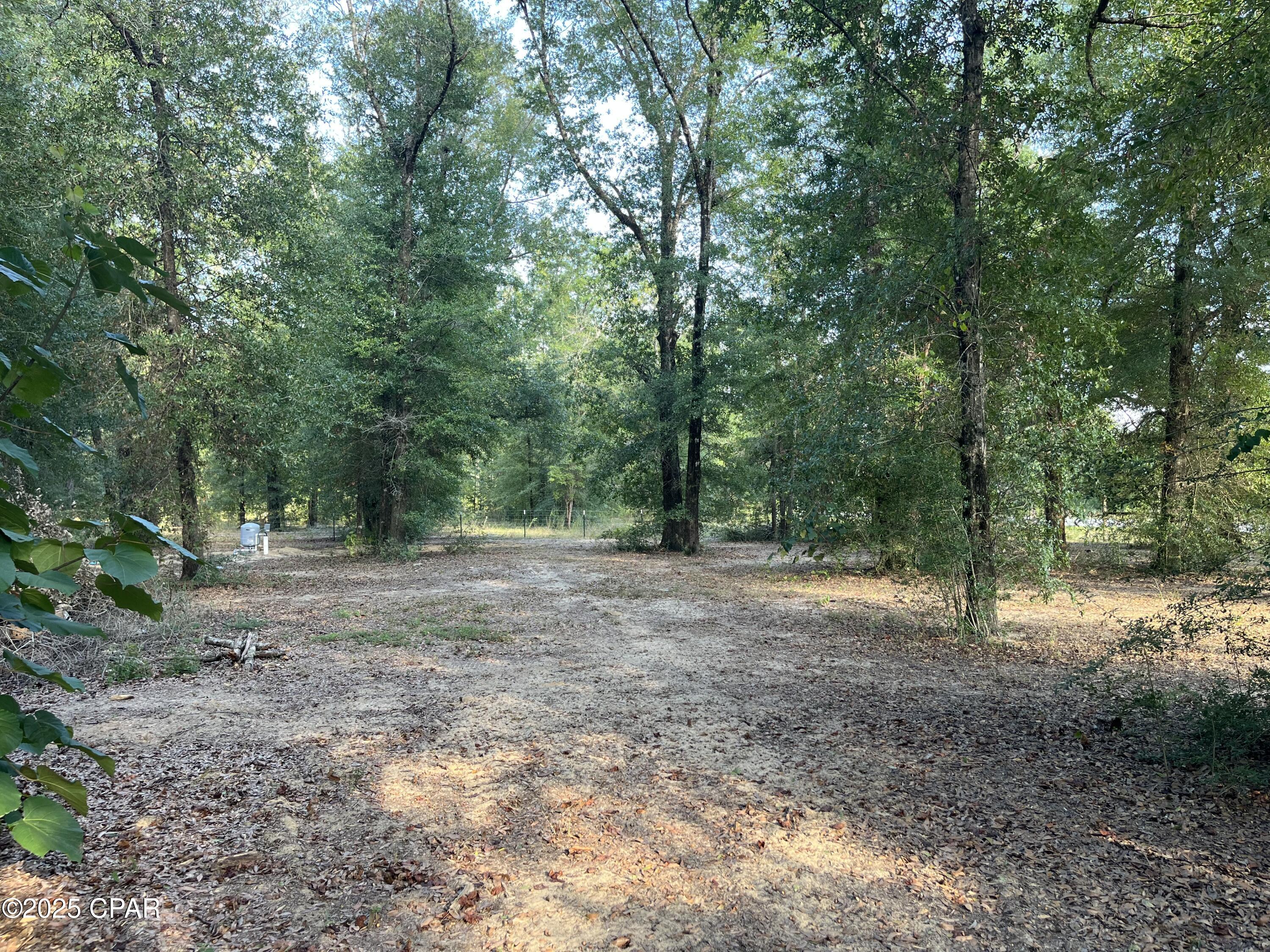 Image 3 For 7958 County Rd 274