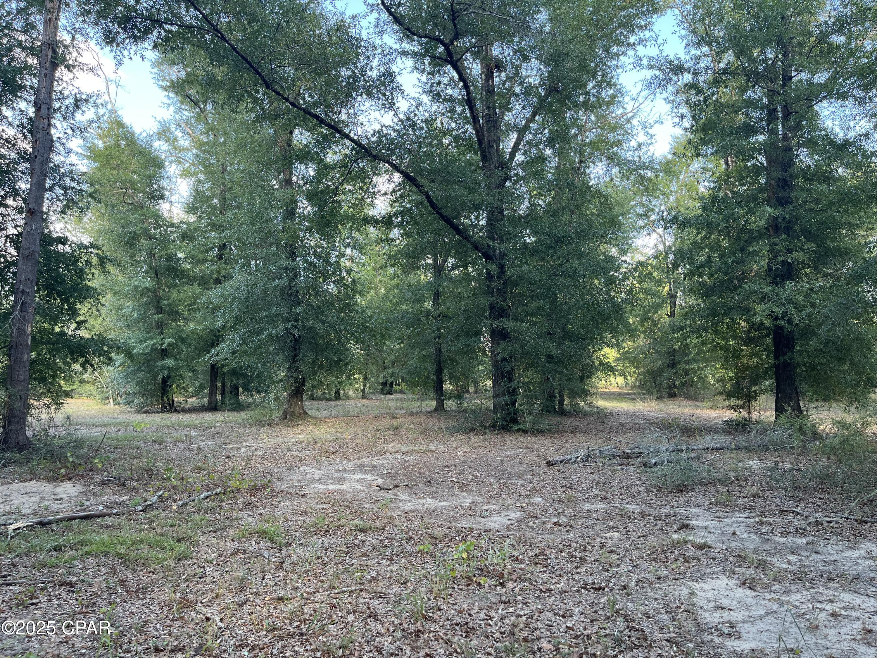 Image 44 For 7958 County Rd 274