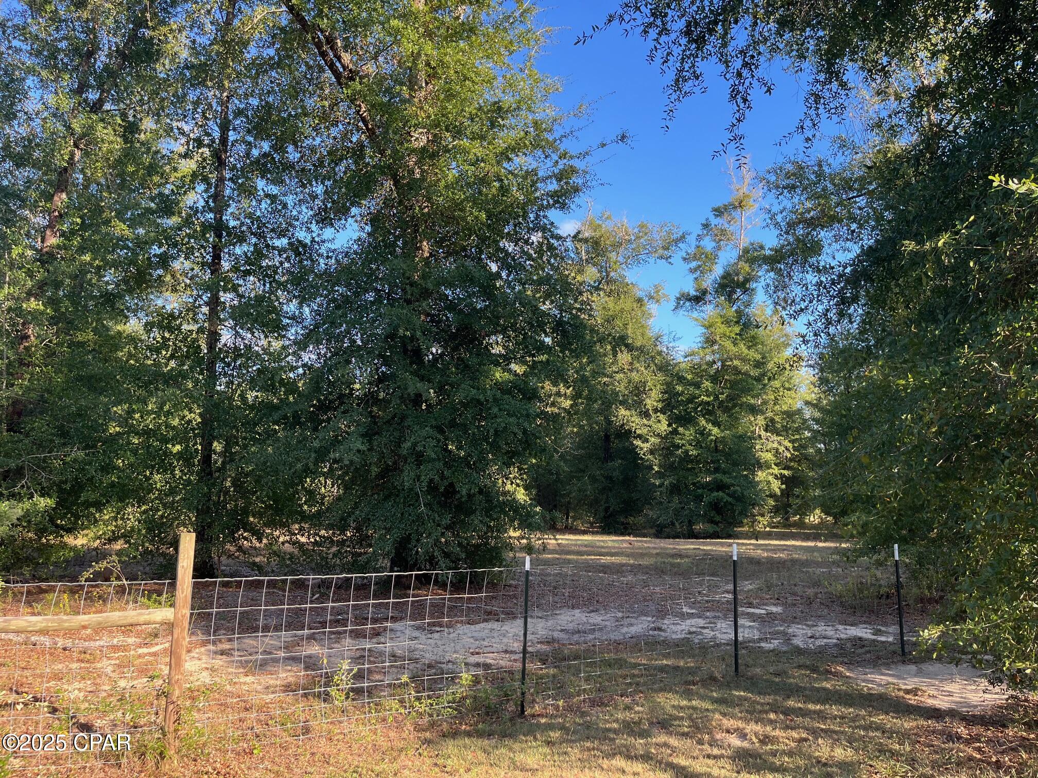 Image 47 For 7958 County Rd 274