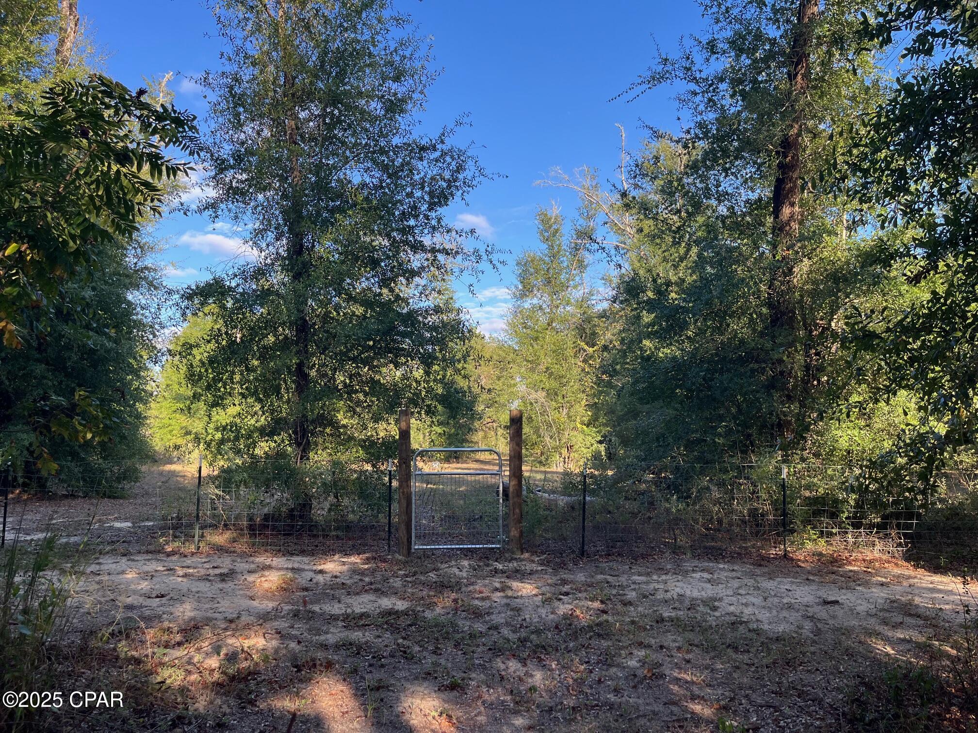 Image 48 For 7958 County Rd 274