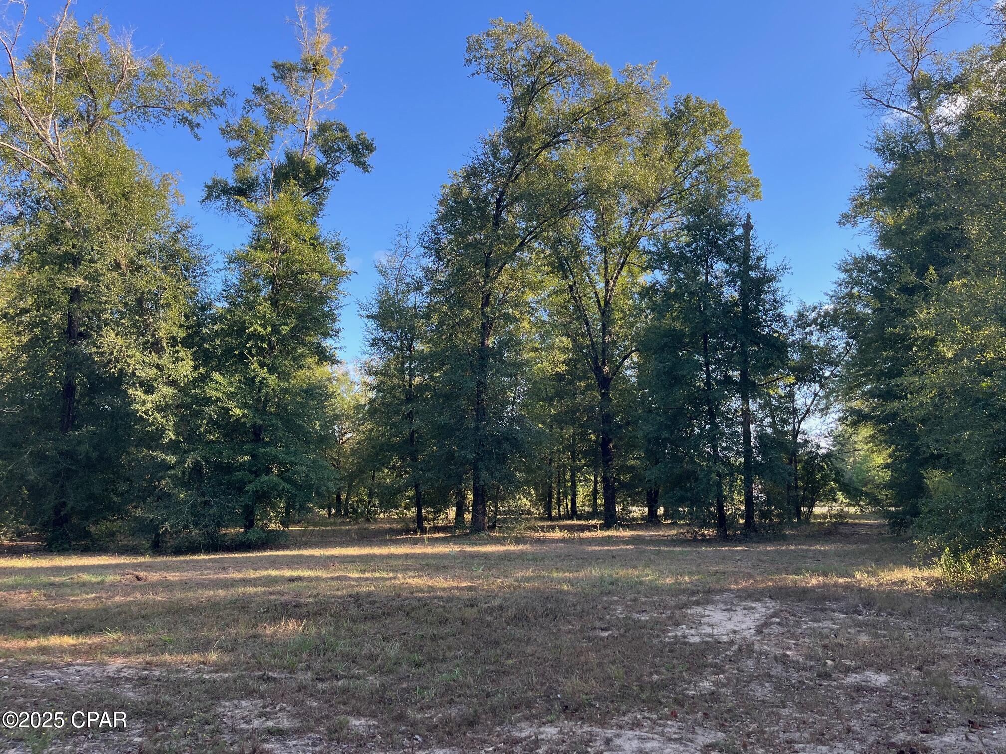 Image 49 For 7958 County Rd 274