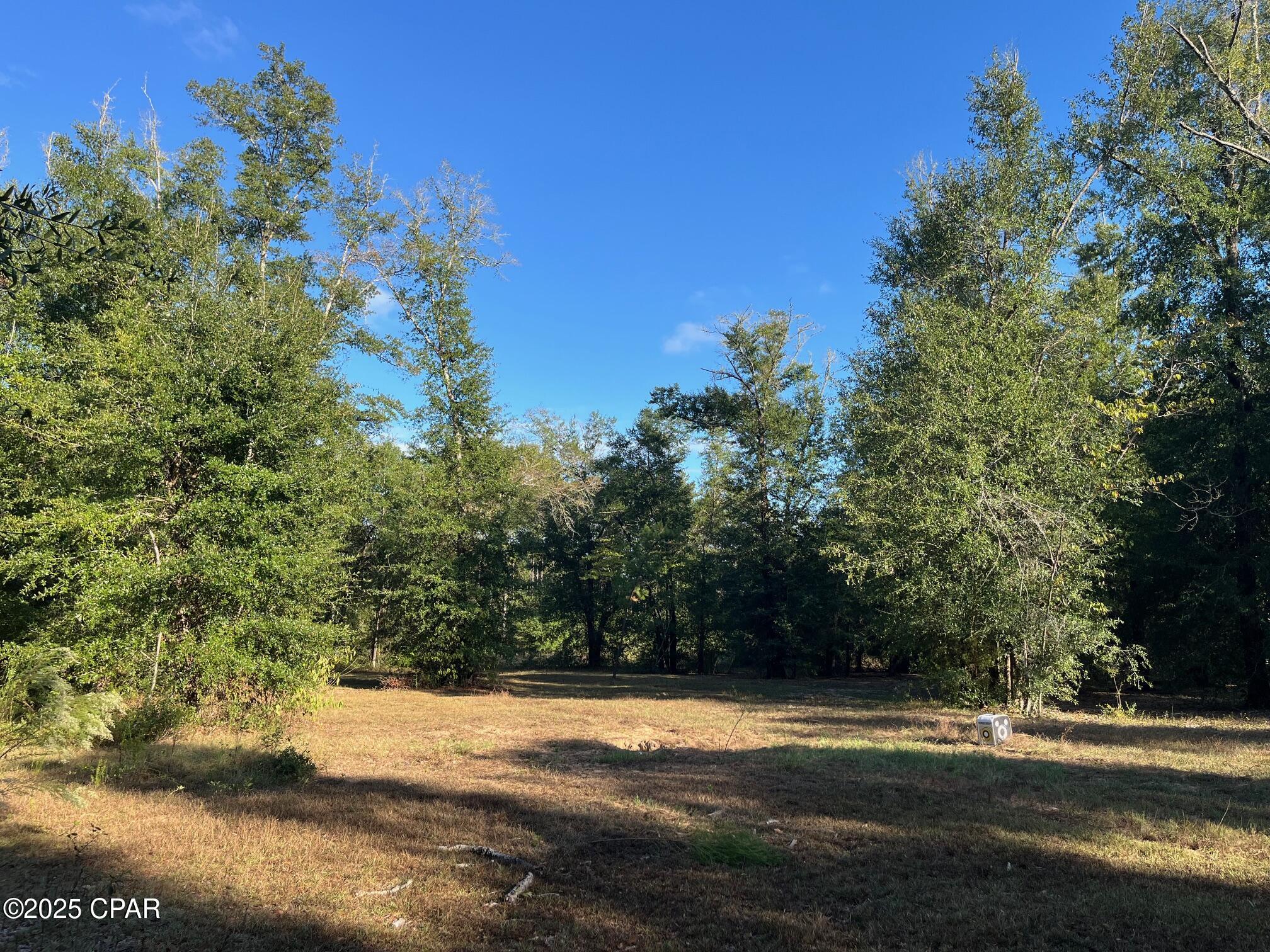 Image 51 For 7958 County Rd 274