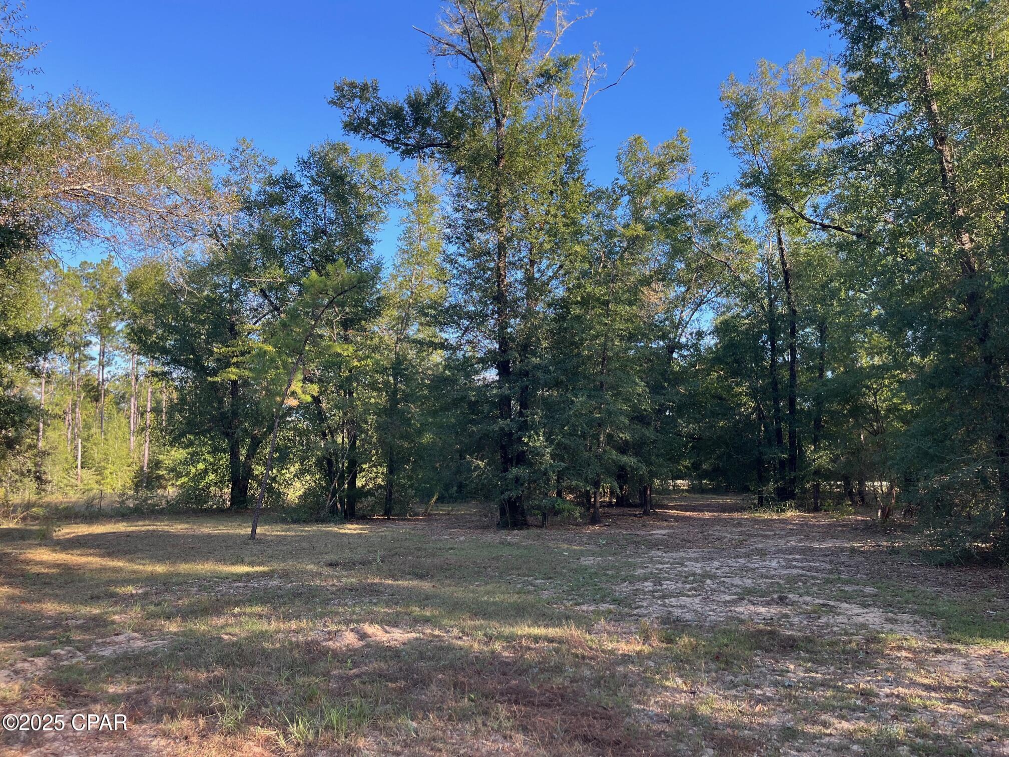 Image 52 For 7958 County Rd 274