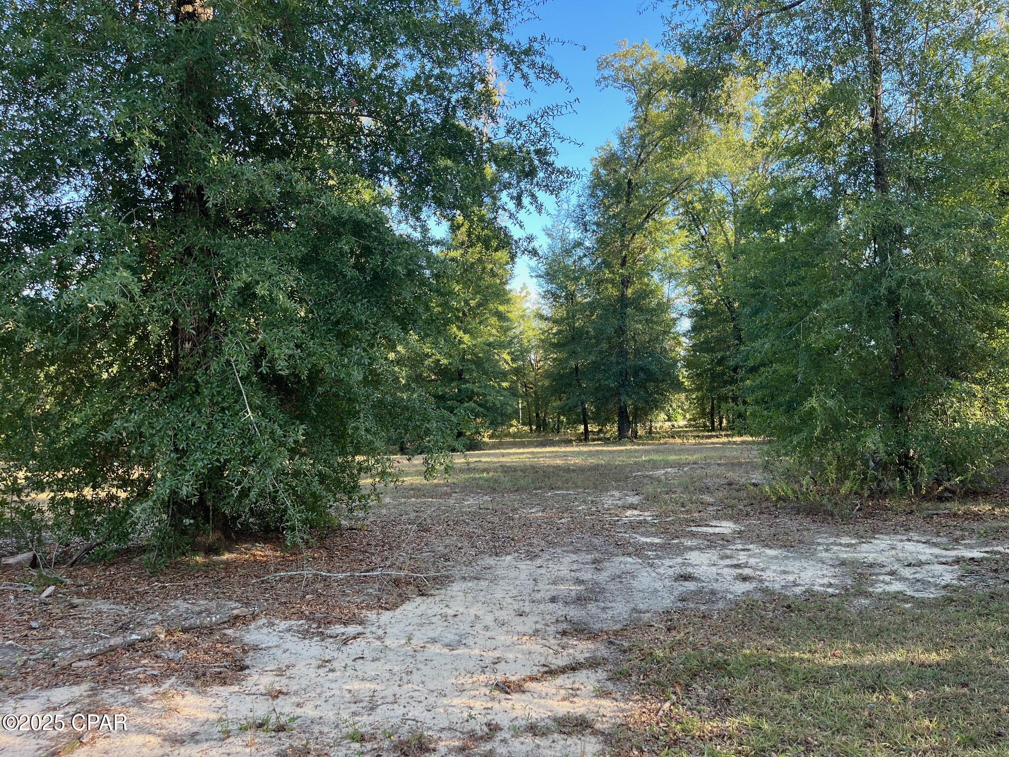 Image 53 For 7958 County Rd 274