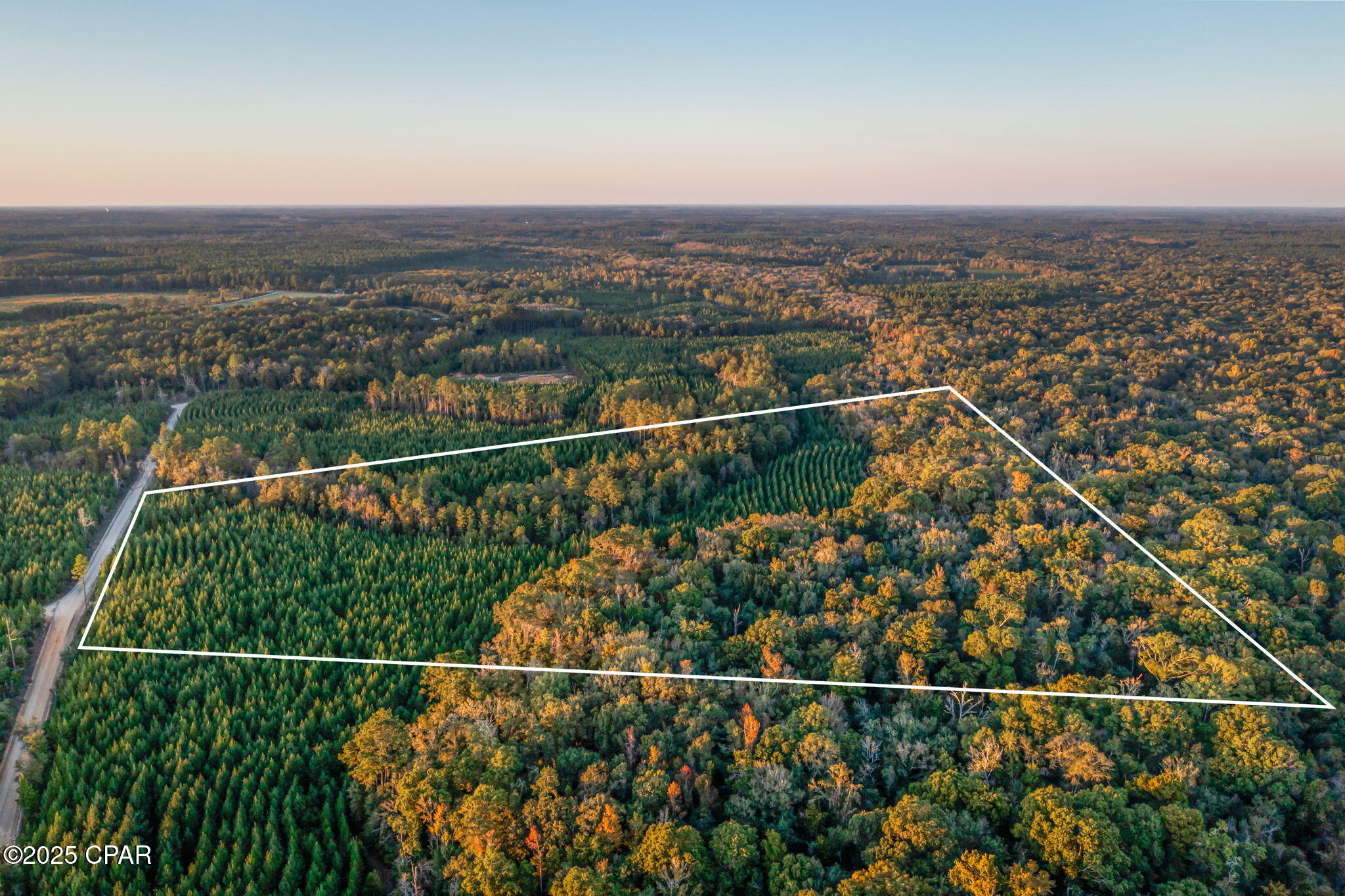 Tshzbjyn53sxfgjpklkzc5 Mm_zoesmwjc3_wuu2f C