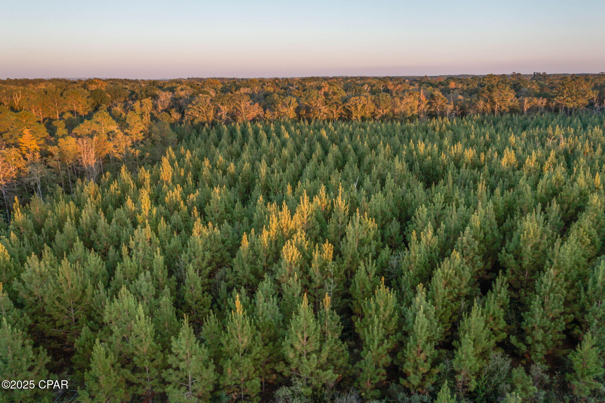 Mn9srv98jzs3ikzrieqtkwlzjrxpb7rnn5d 7oexvra