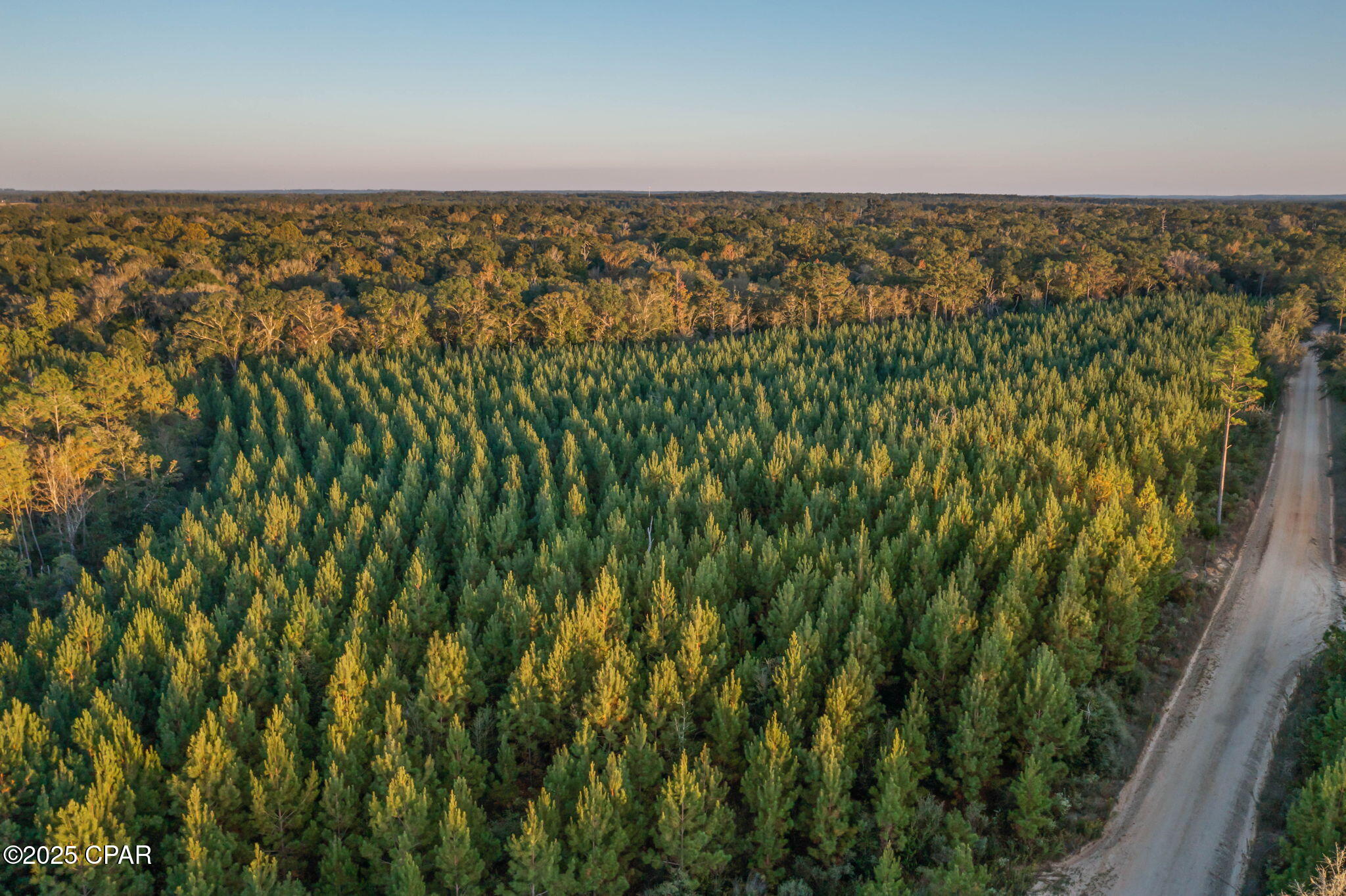 Y94yrmyant1 Cgjj1i9c05rhzf57xurhskzcnm_fpve