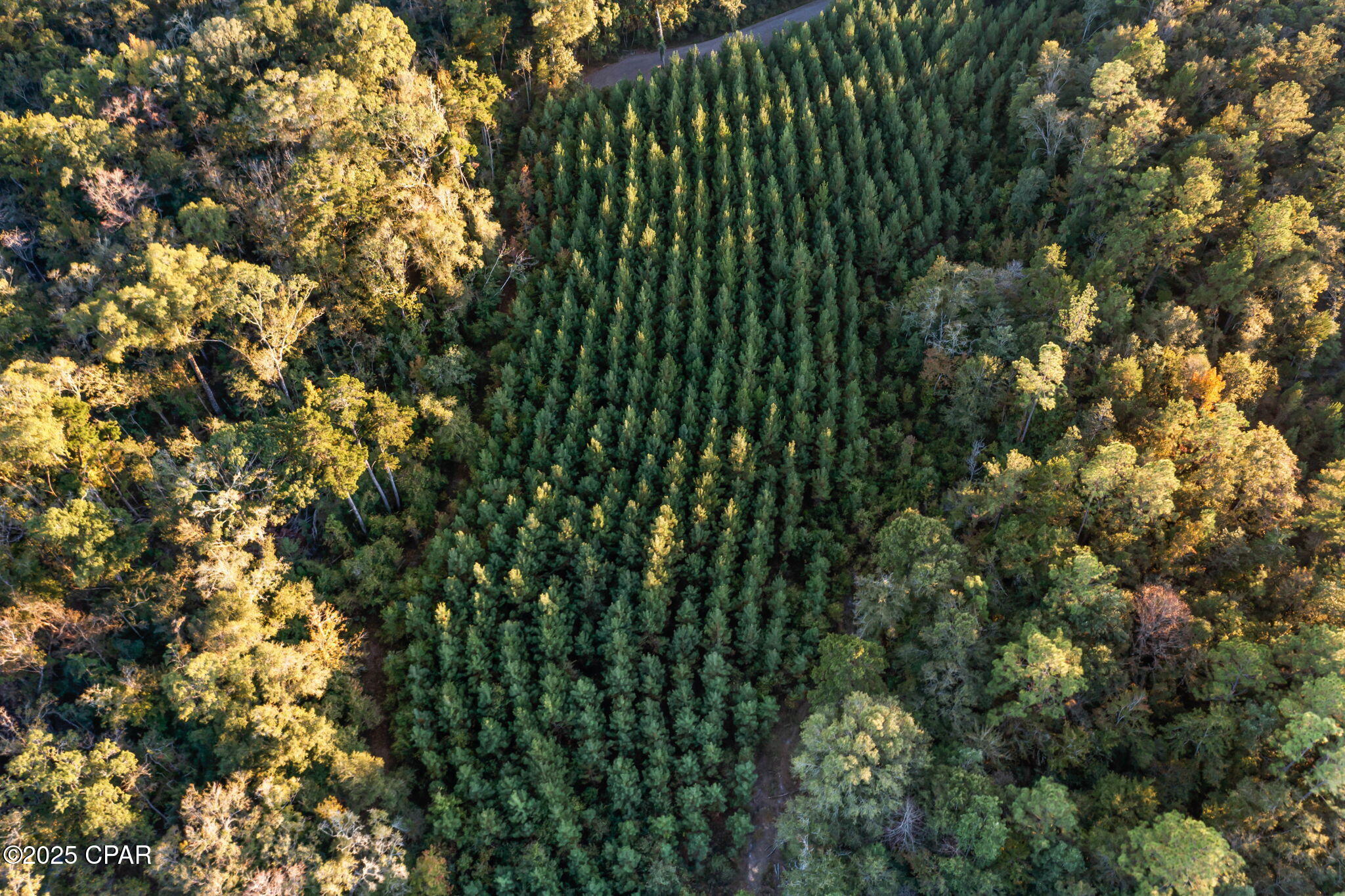 Ly Wvbi67lohsg6ur 7n8c8qnfw8omdwbh9t5csagr4