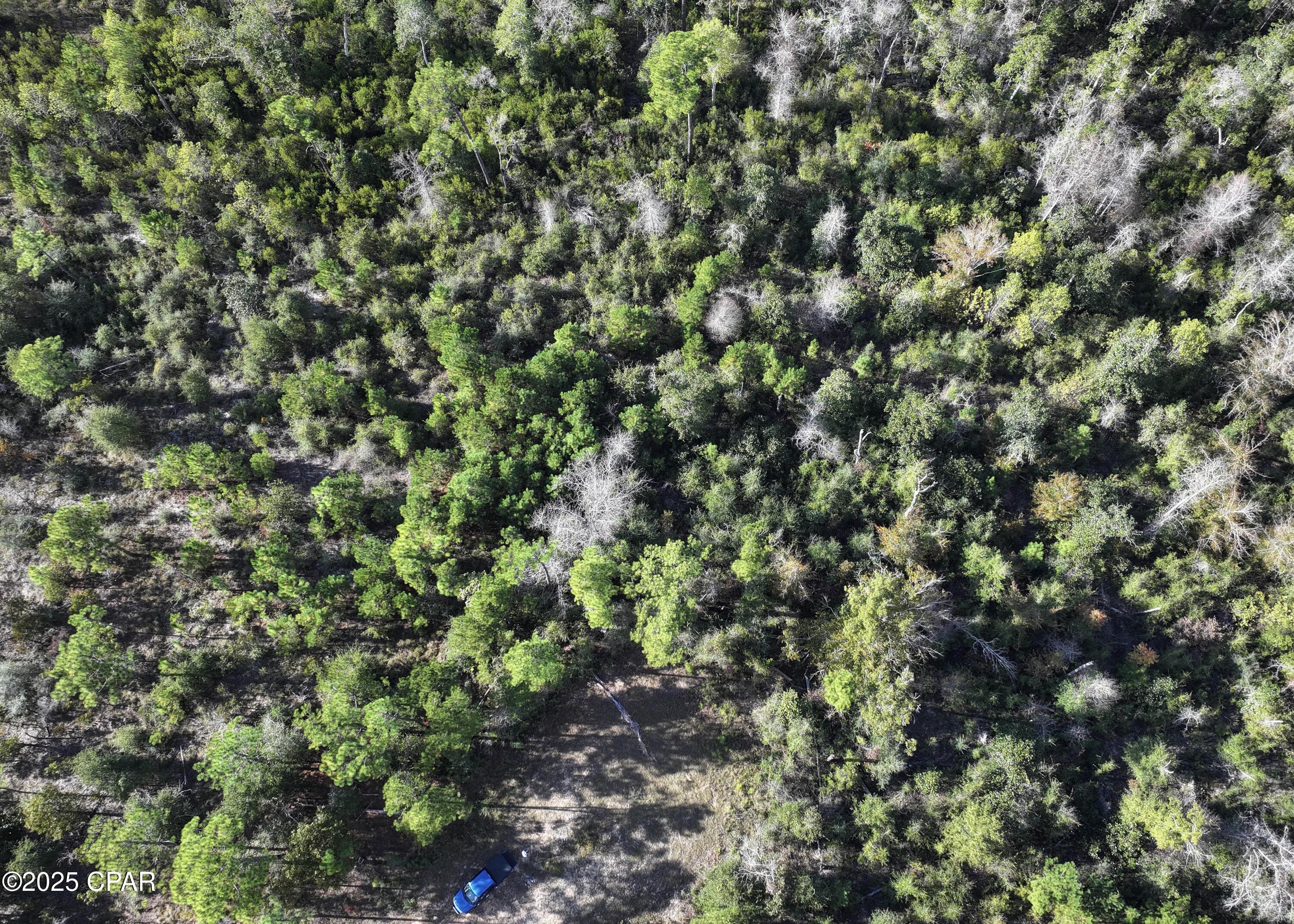 Och0tnzsf2stbsaoog1 Dzpusbm0byem2od5p4lxhtq