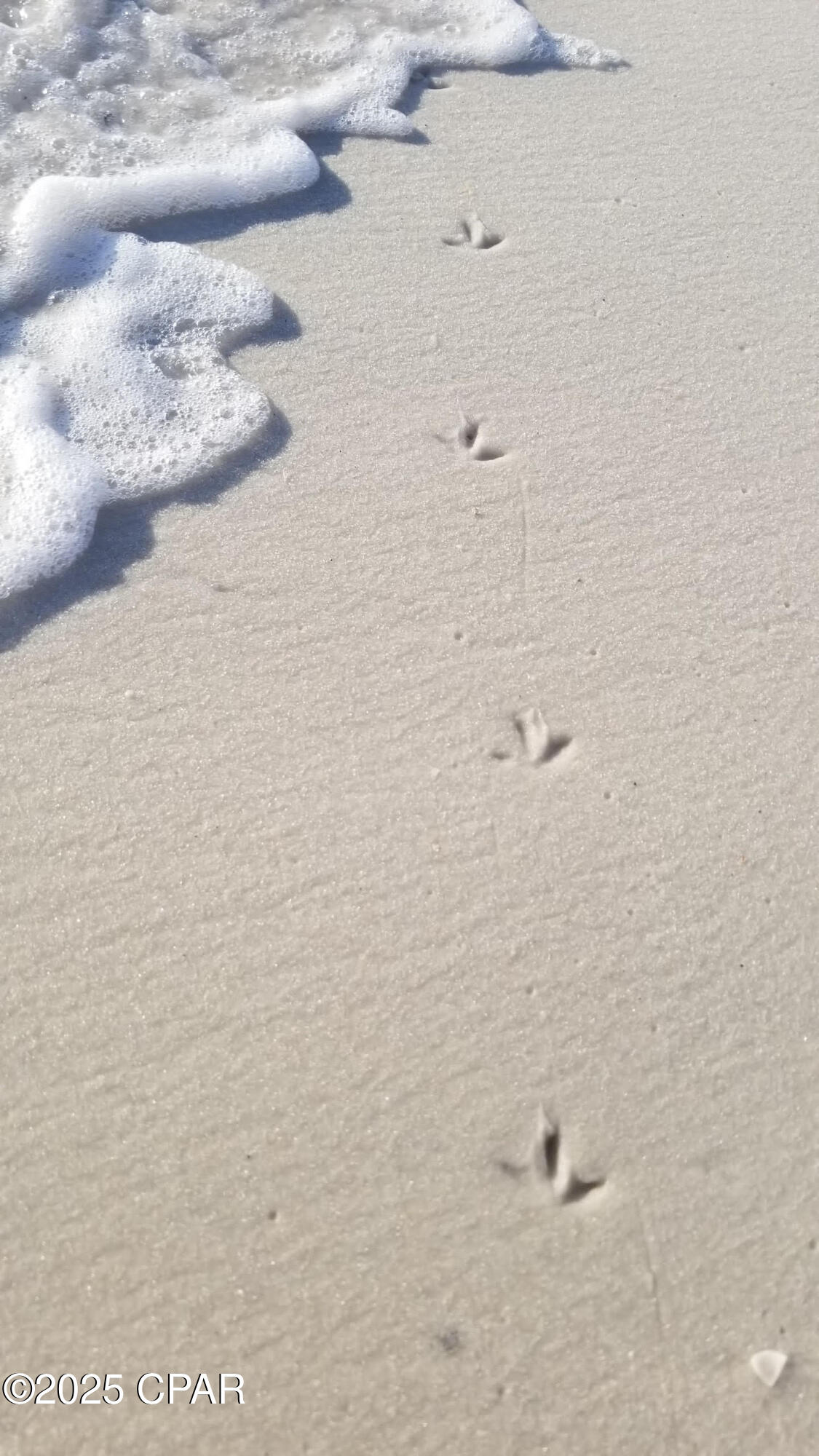 Mk3ekbmhkmy8on9on0grjveq90fgrcjvk32takw5rwi