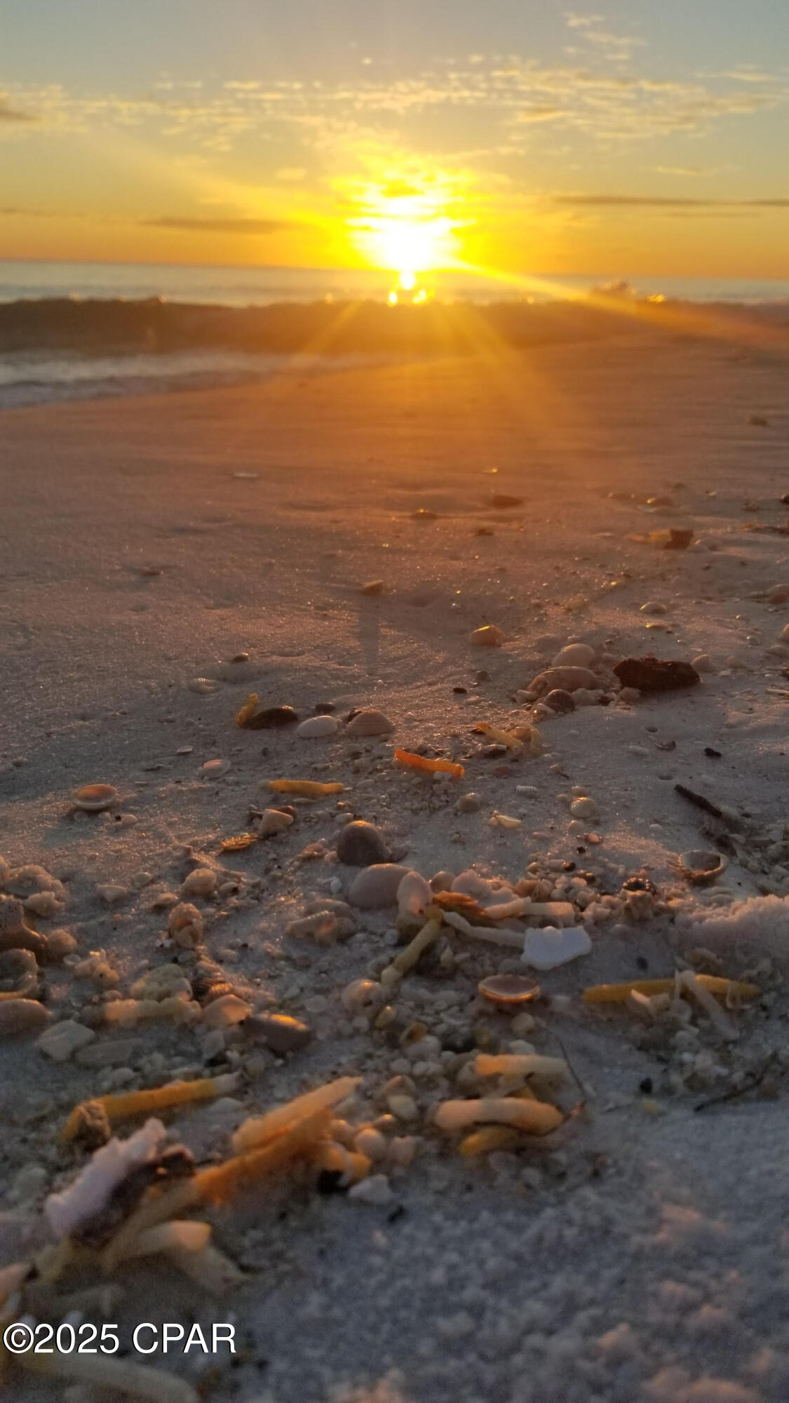 Xyuyhlfhah_rnp Rmc1quhpwa5yfedjpcj6w8kv Jpy