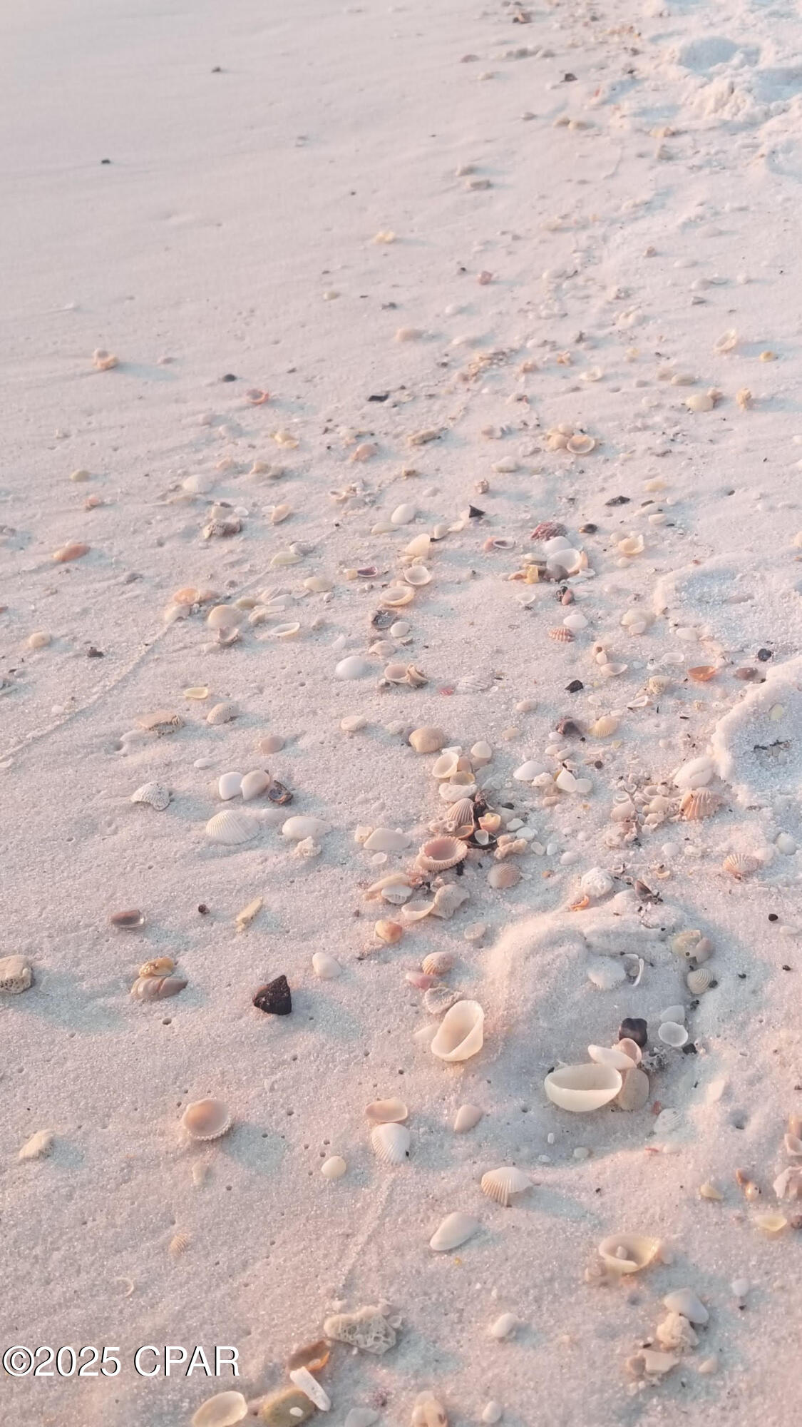 Fx2s1nk7eaqmft9wbynyy_avnjovr2f6bzk1ou3axfi